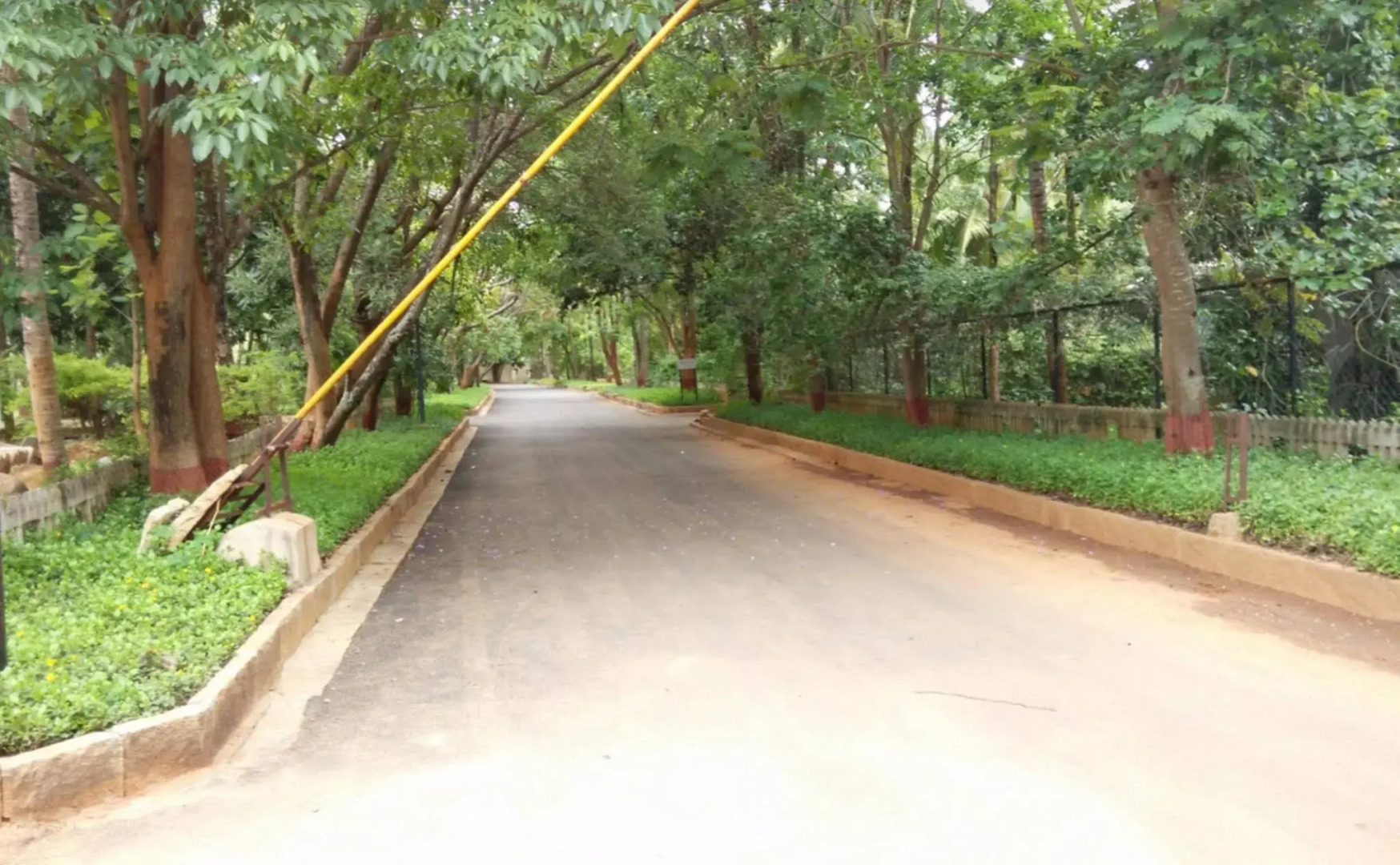 The Windflower Prakruthi - Bangalore Resort