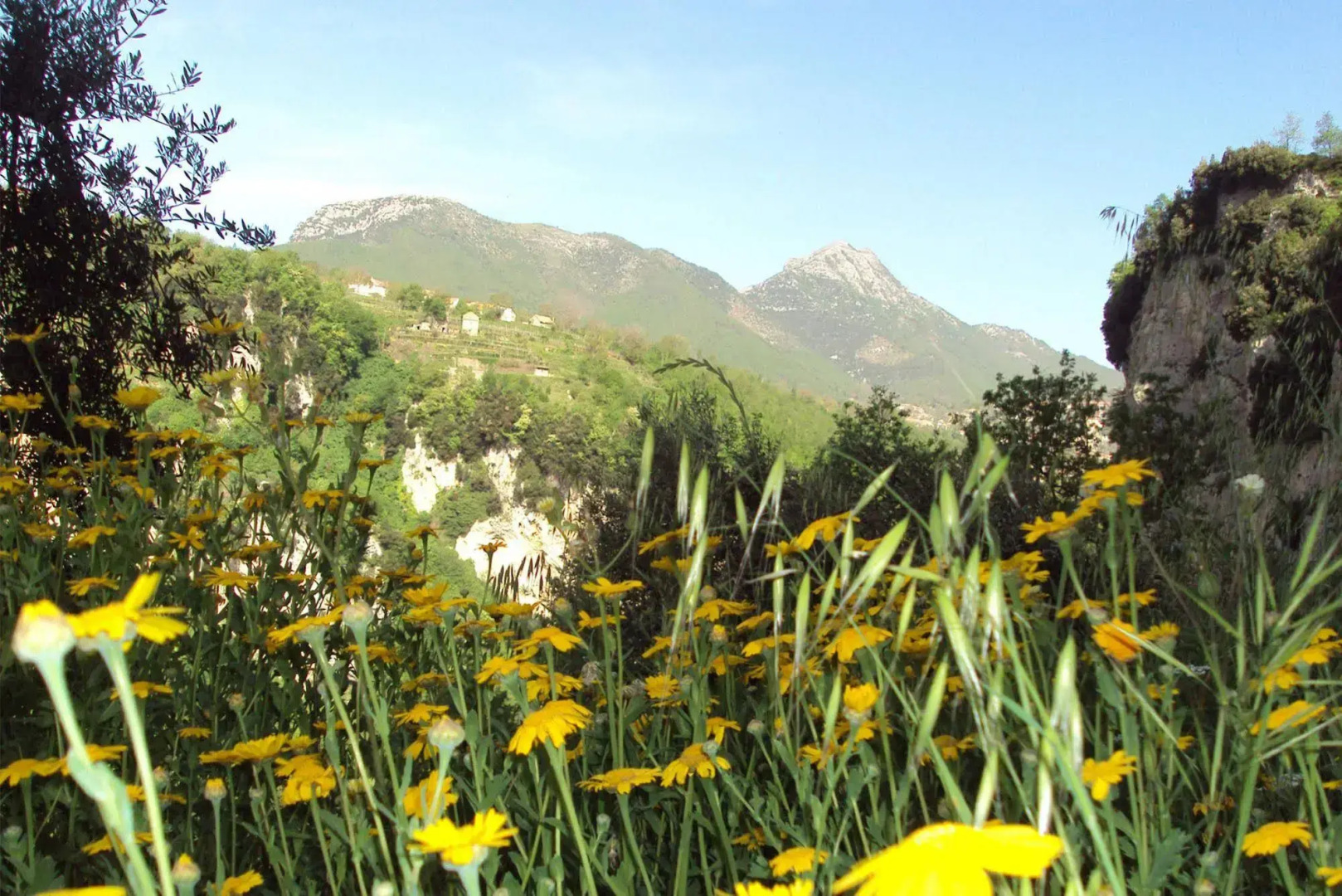 Agriturismo Orrido di Pino