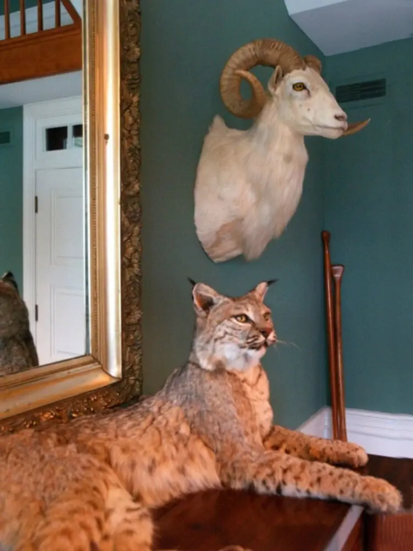 Ruby Lodge at Spring Lake Woods