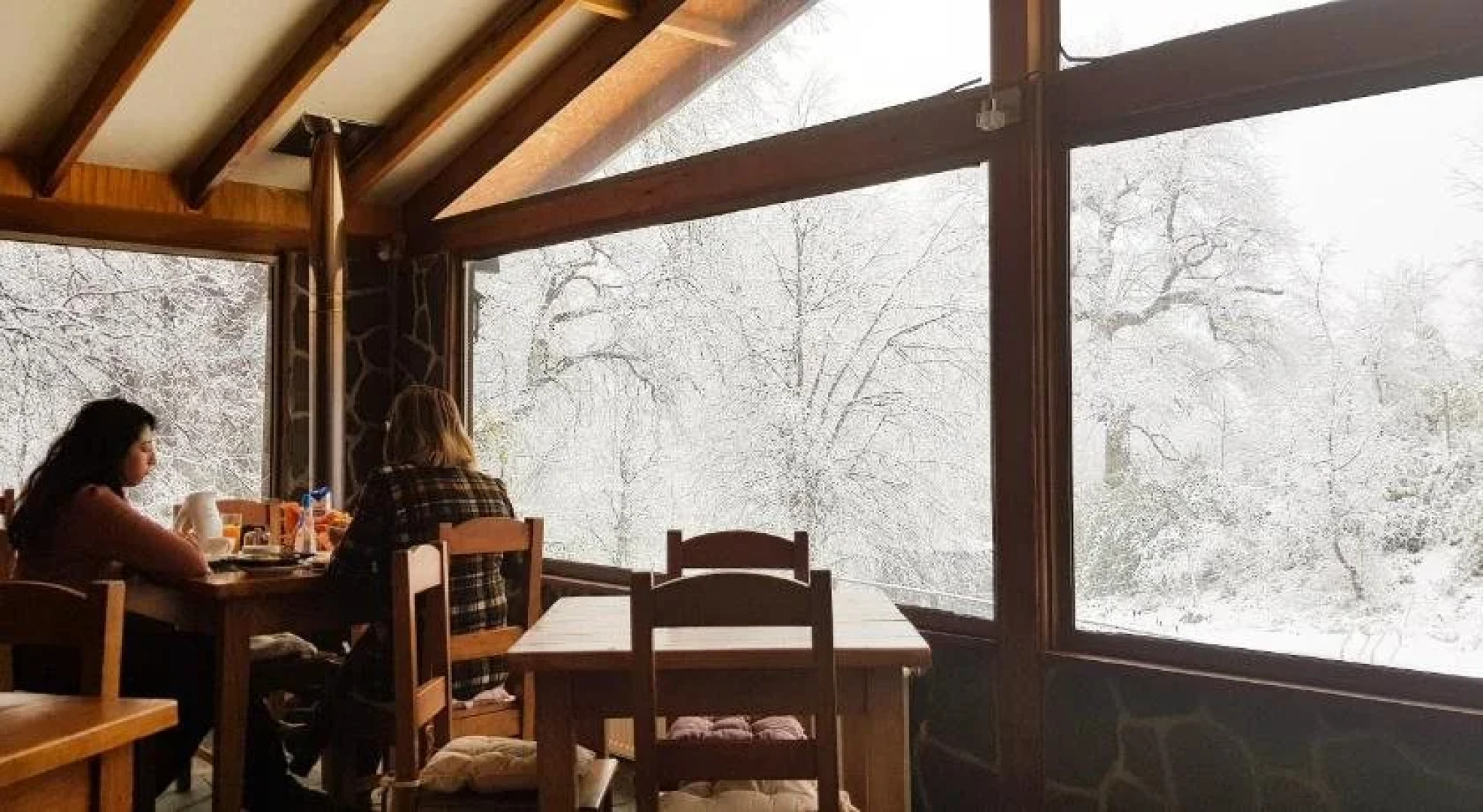 Lodge Las Trancas - Hostel