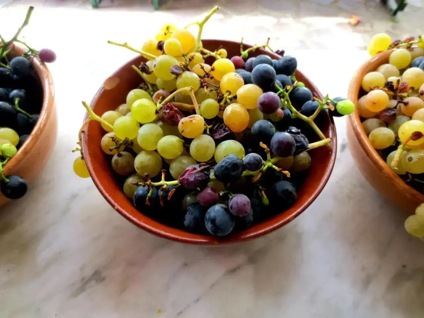 Casa Rondini, organic farm