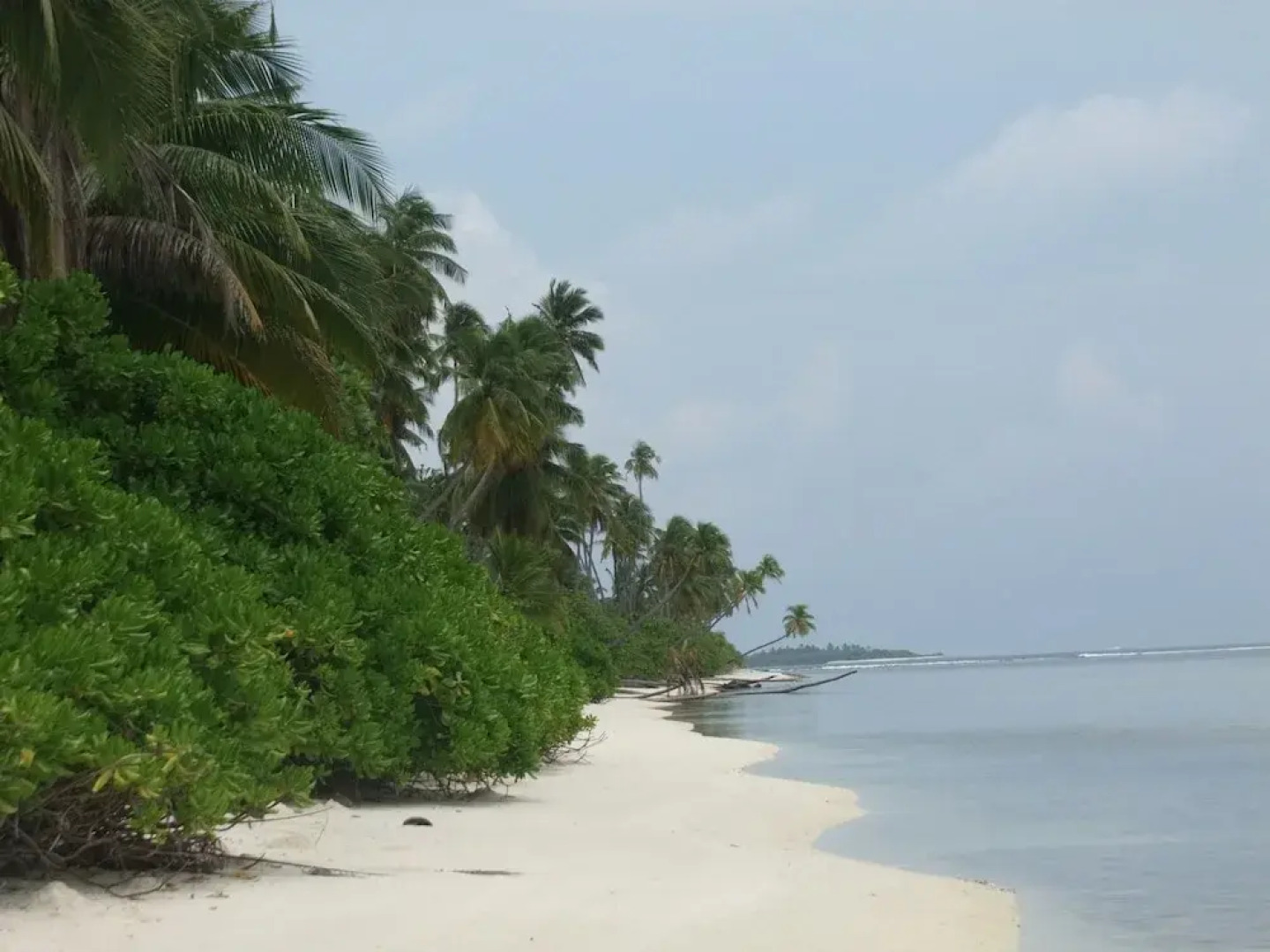 Serene Blue Bowls Surf Inn