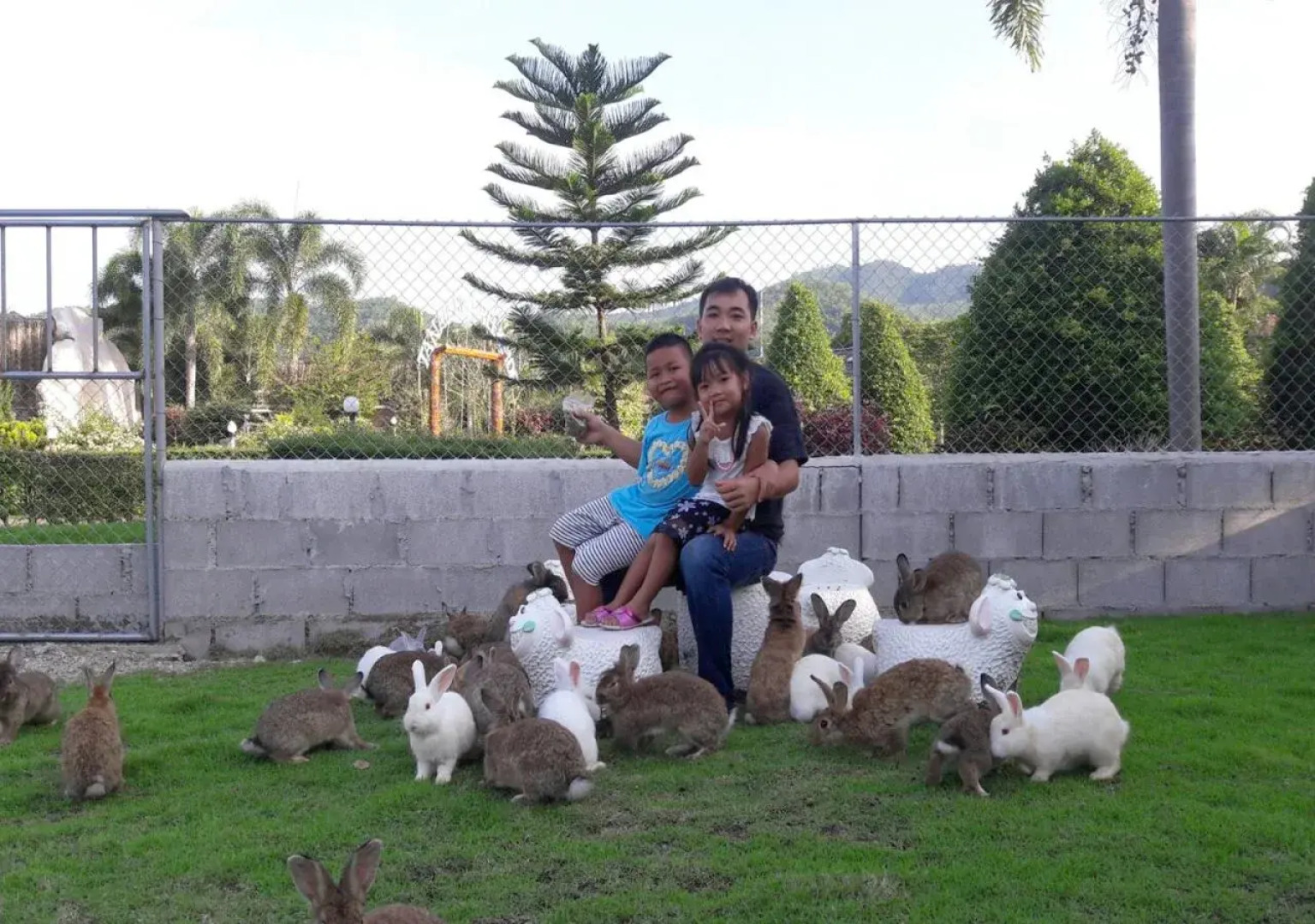 Tanaosri & Creekside Resort