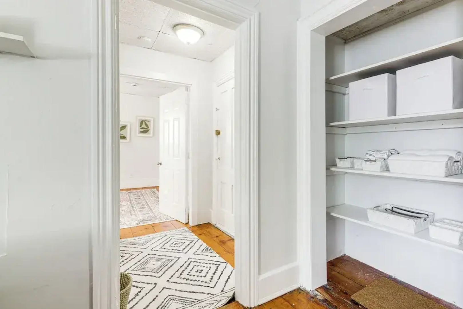 Explore Dtwn, Parks & Colleges: Cozy Worcester Apt