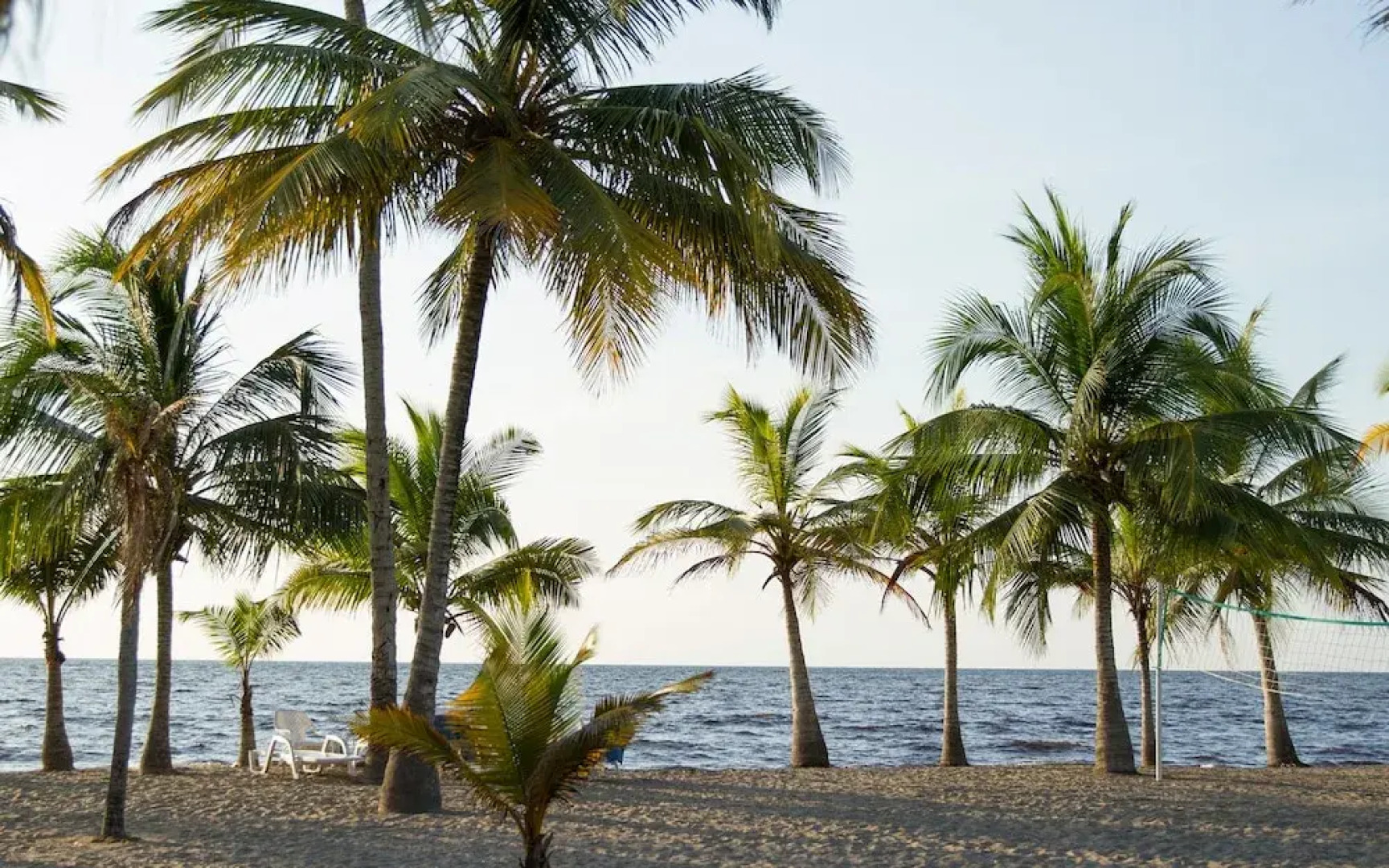 Palmares del Frances