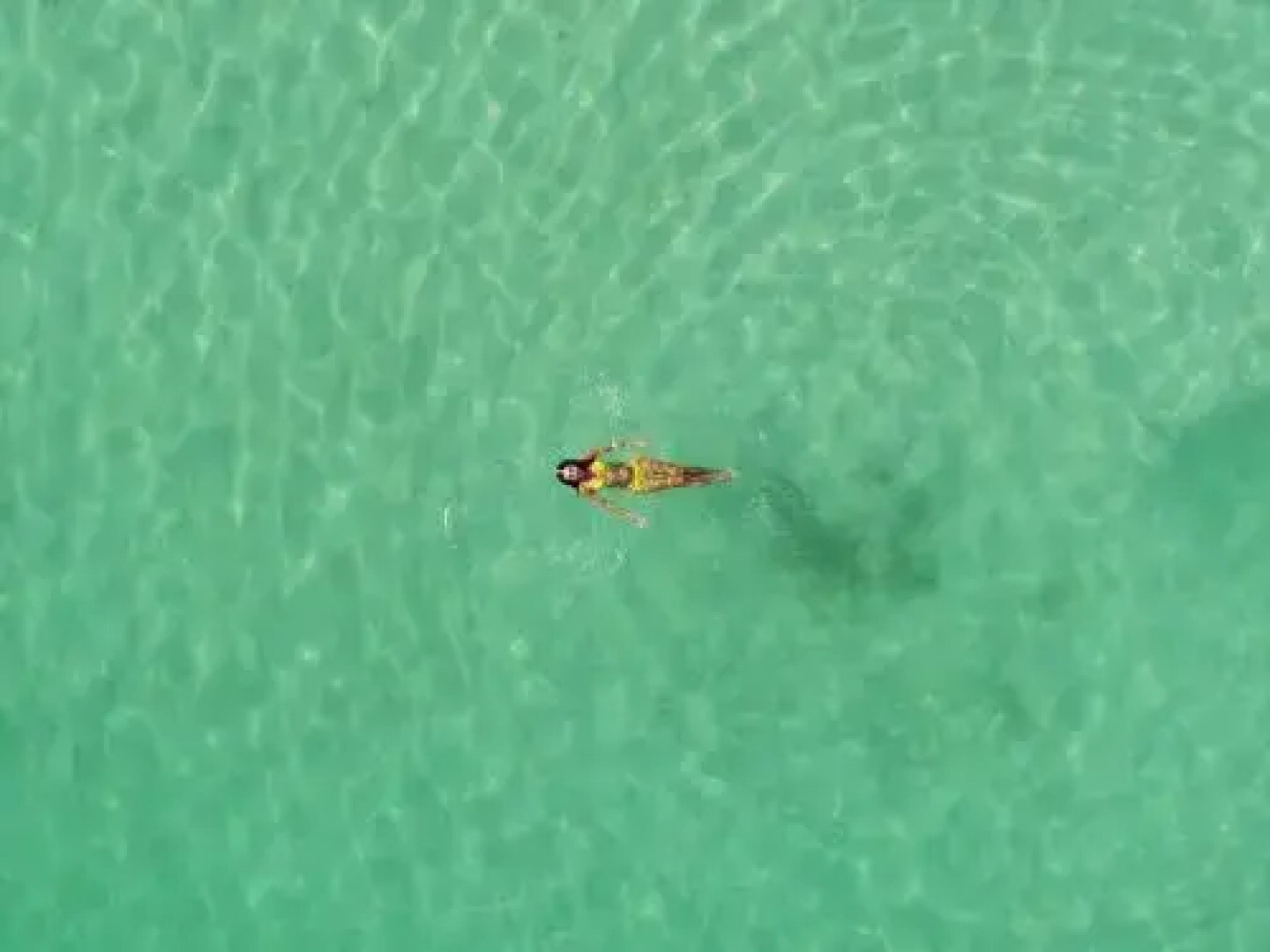 Amerika-Holzer Hotel Resort