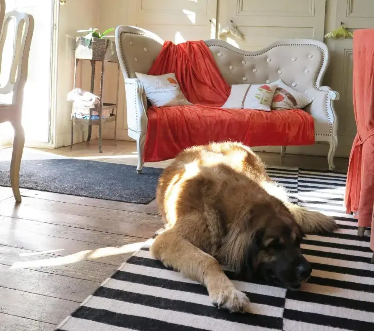 Gite Le Jardin Gustave