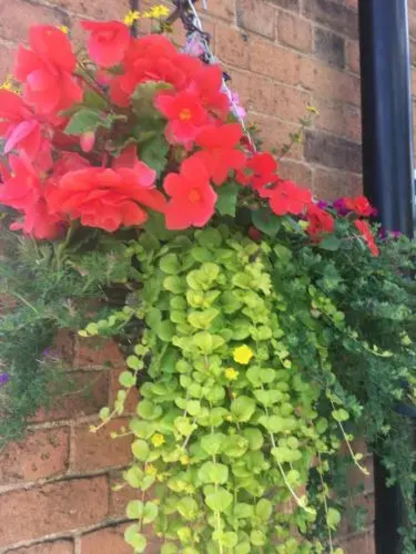 The Old School House Guest Accommodation