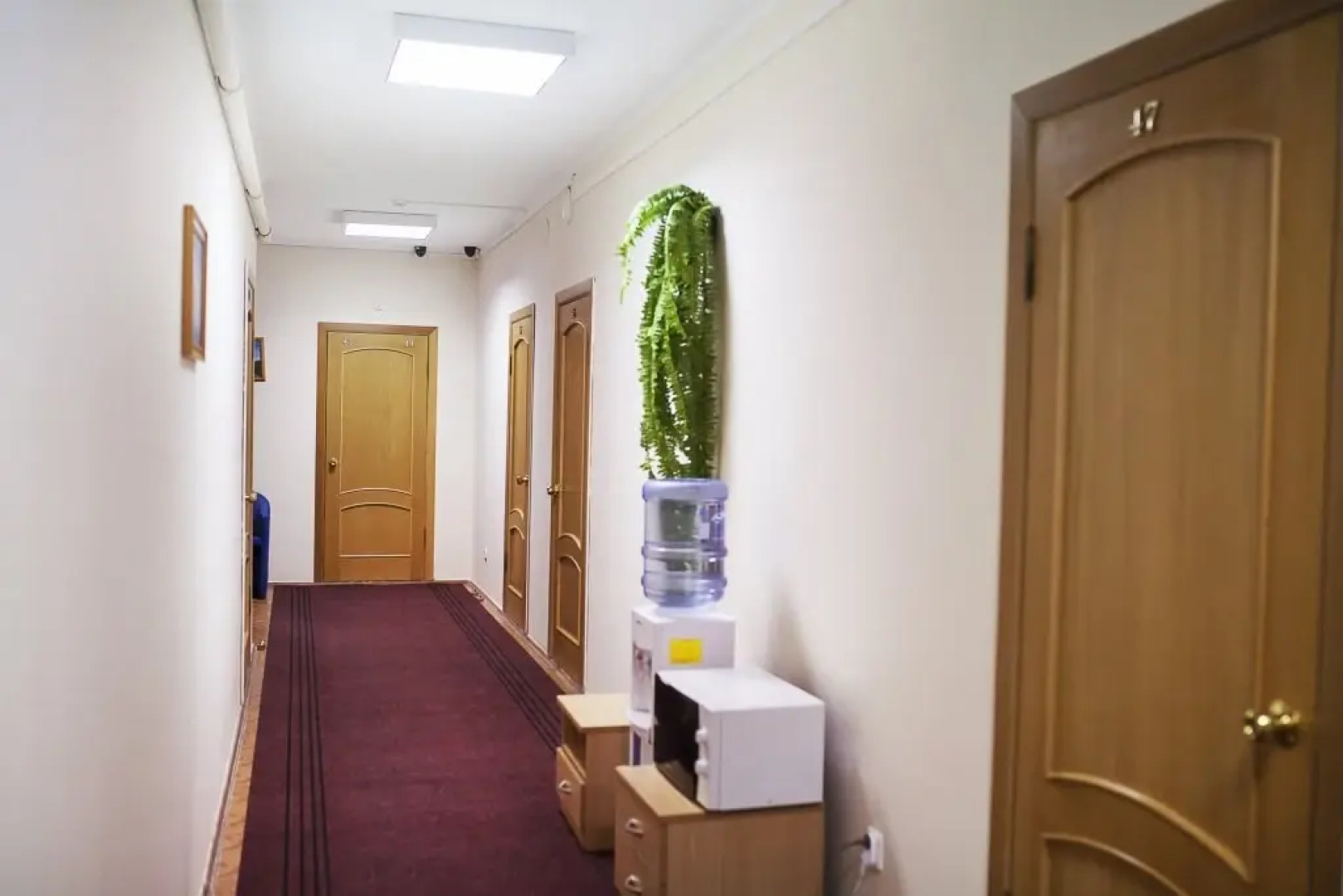 Экватор-Лайт