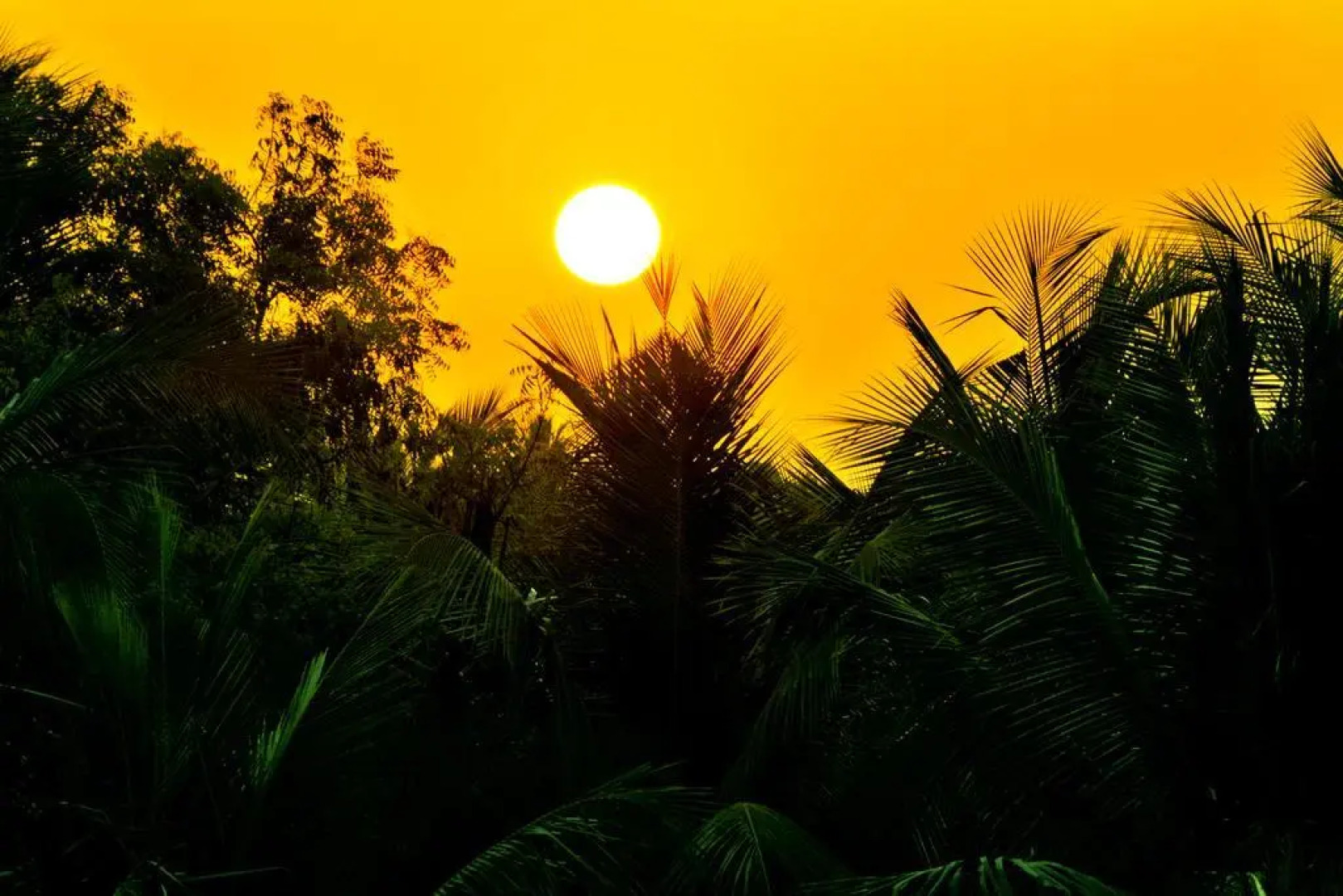 Vedanta Wake Up! Pondicherry - Auroville Beach