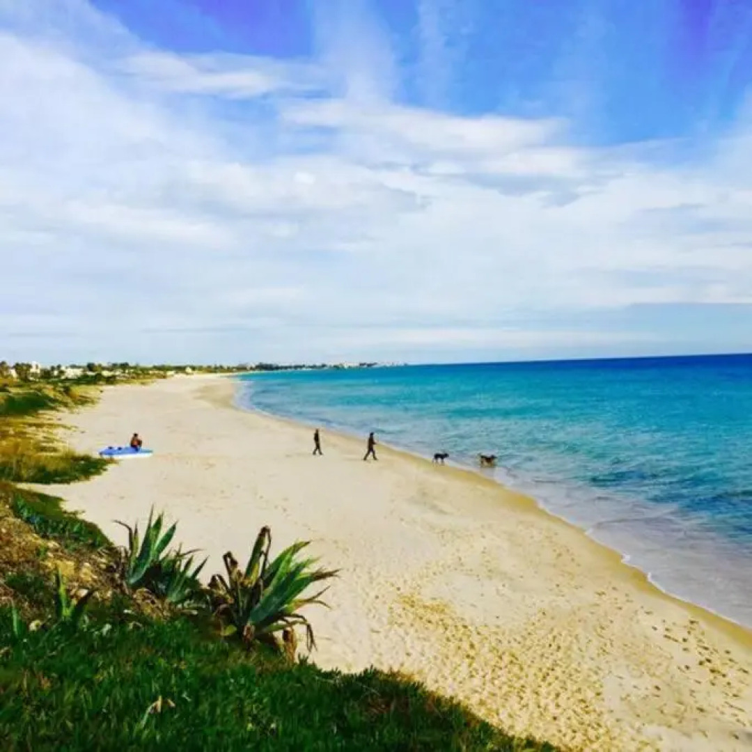 Appartement 1ch Romantique Vue sur Piscine