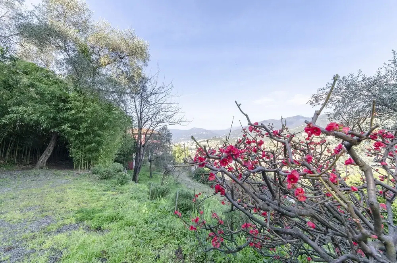 ALTIDO Villa Diana Garden Suite with SwimmingPool