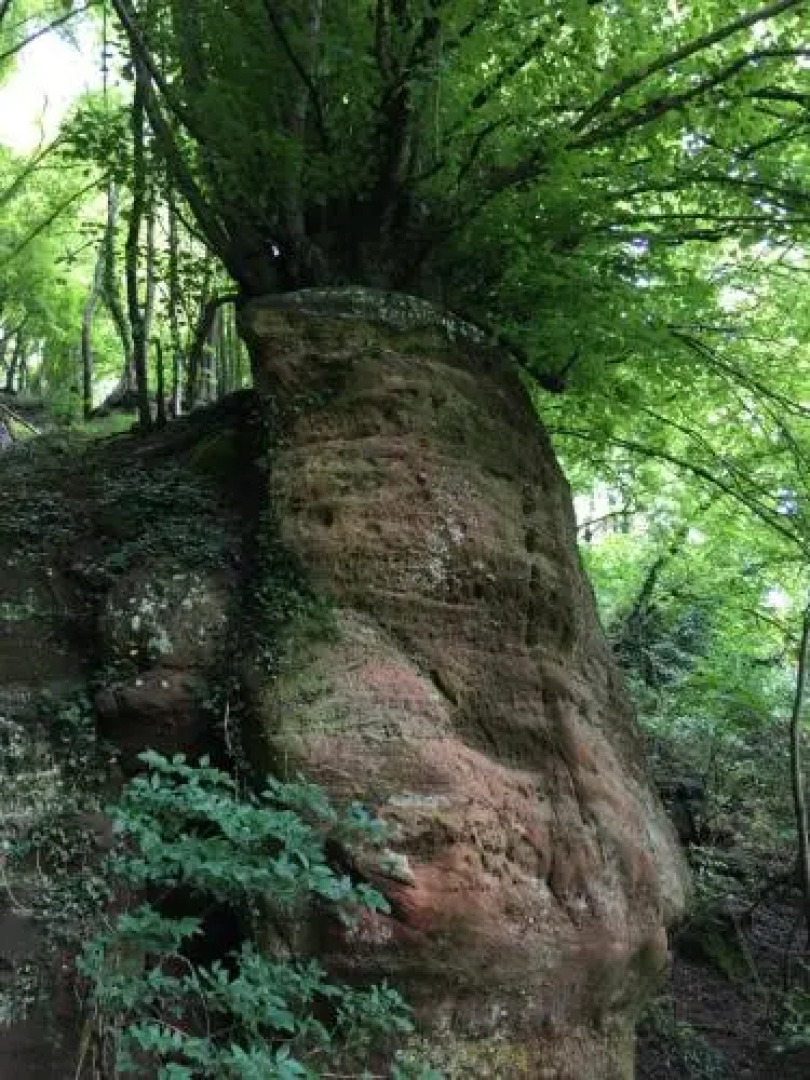 Sebastiana's Ferienwohnung