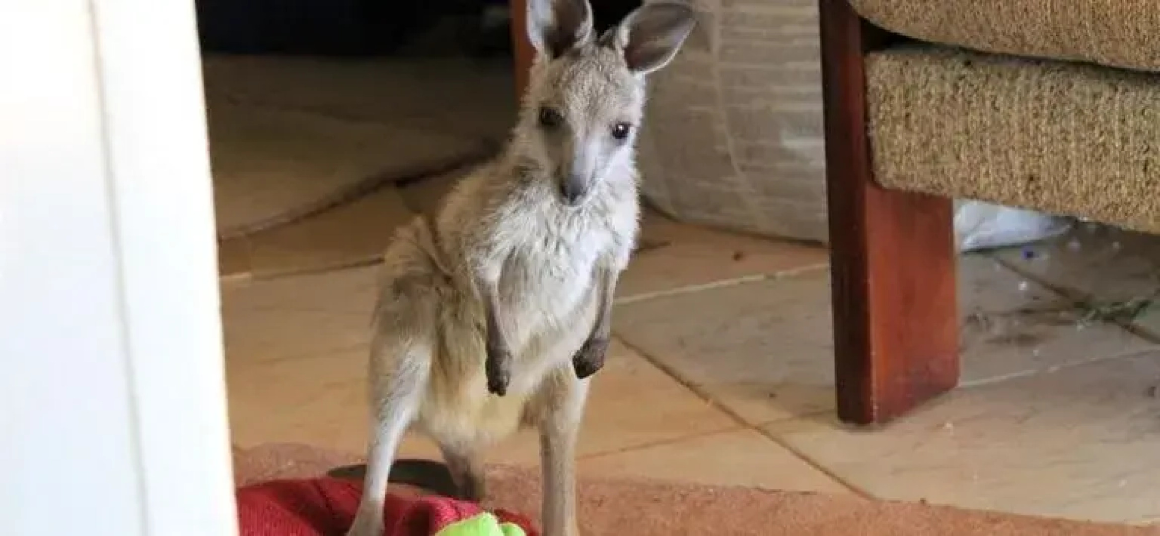 Booleroo View Bed and Breakfast