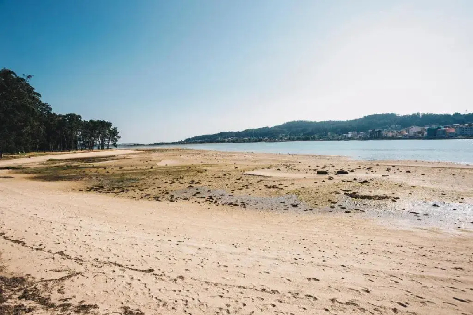 Apartamentos La Toja