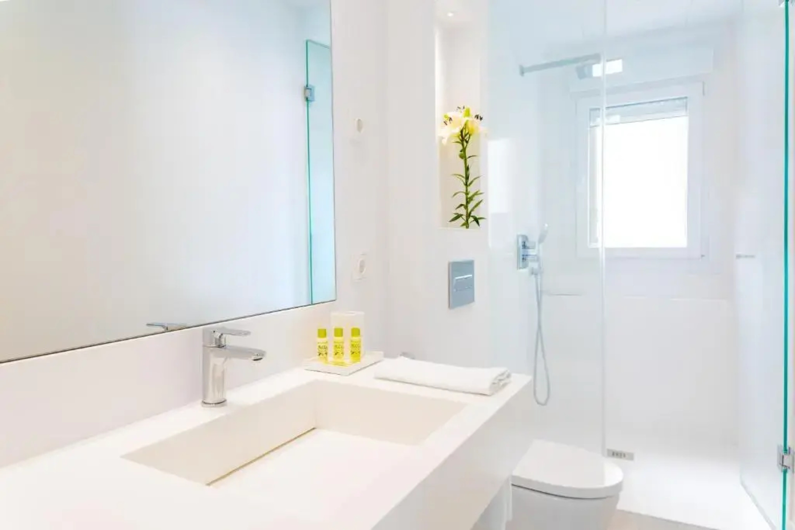 Lauser City Suites