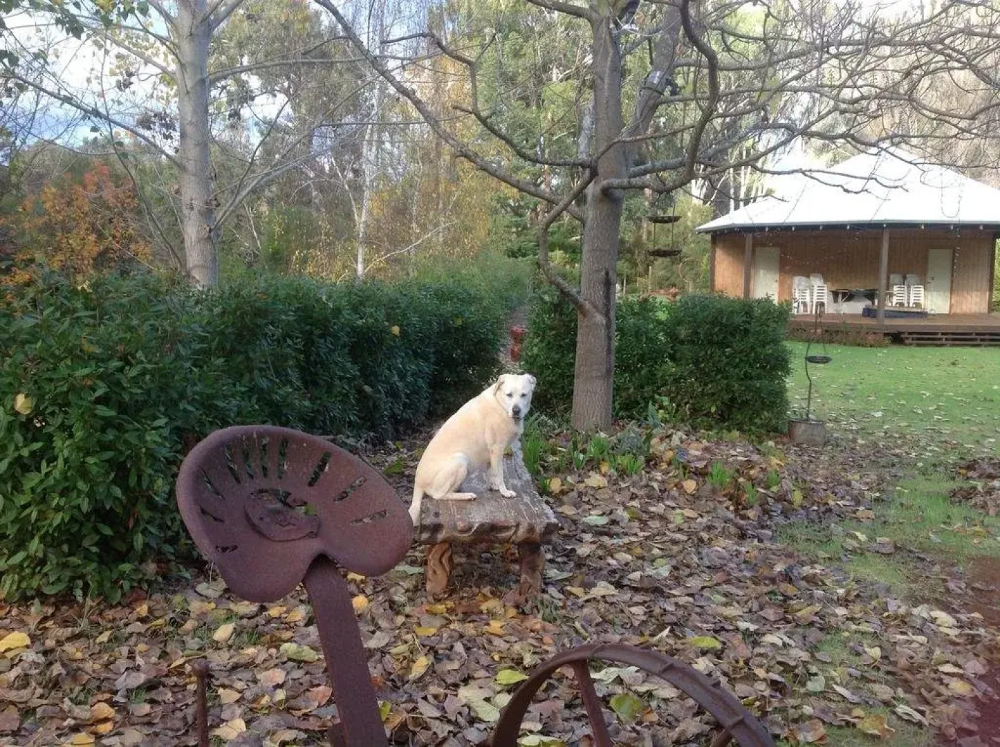 Balingup Jalbrook Cottages