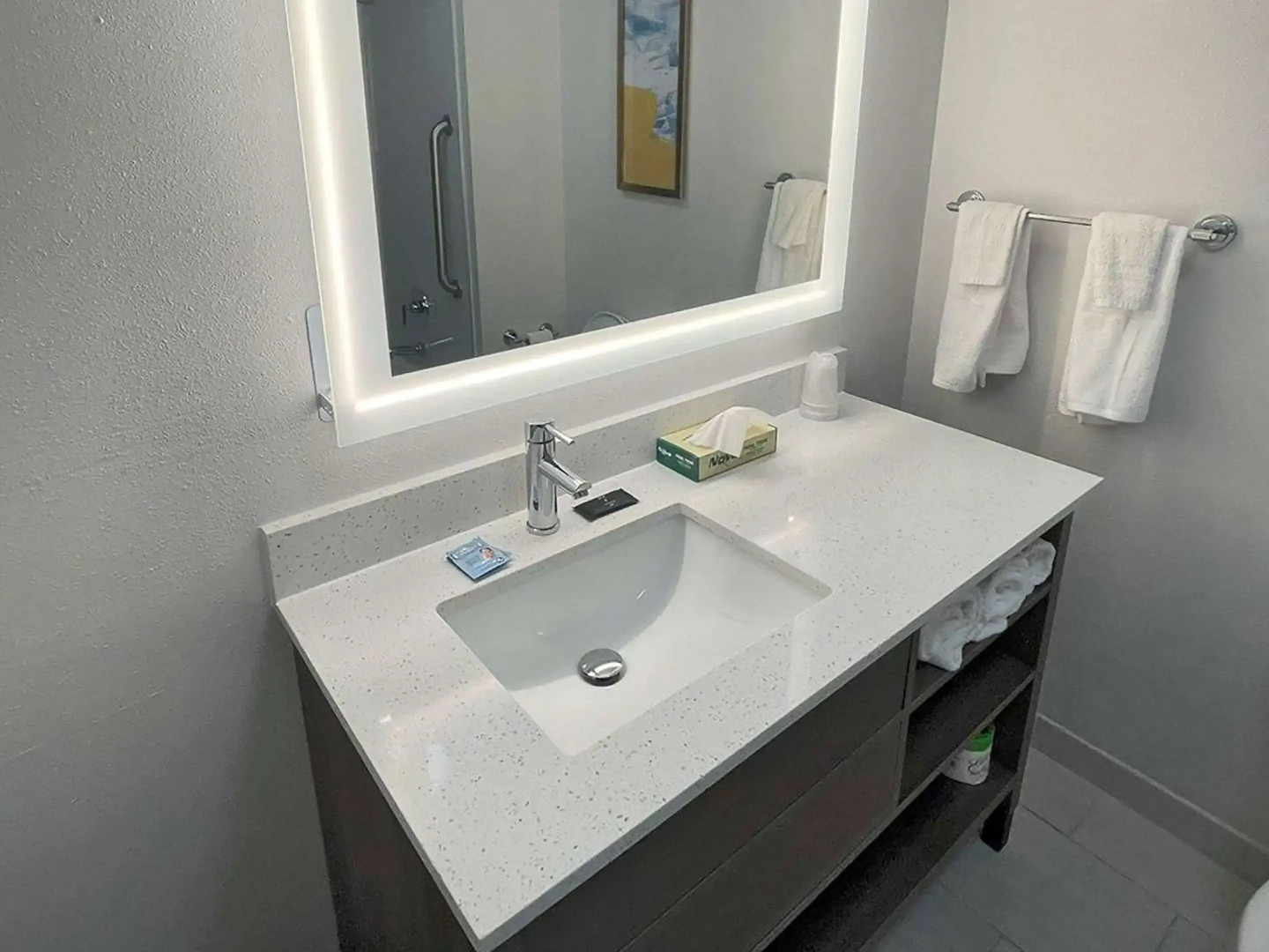 Comfort Suites Mobile-South Alabama University Area