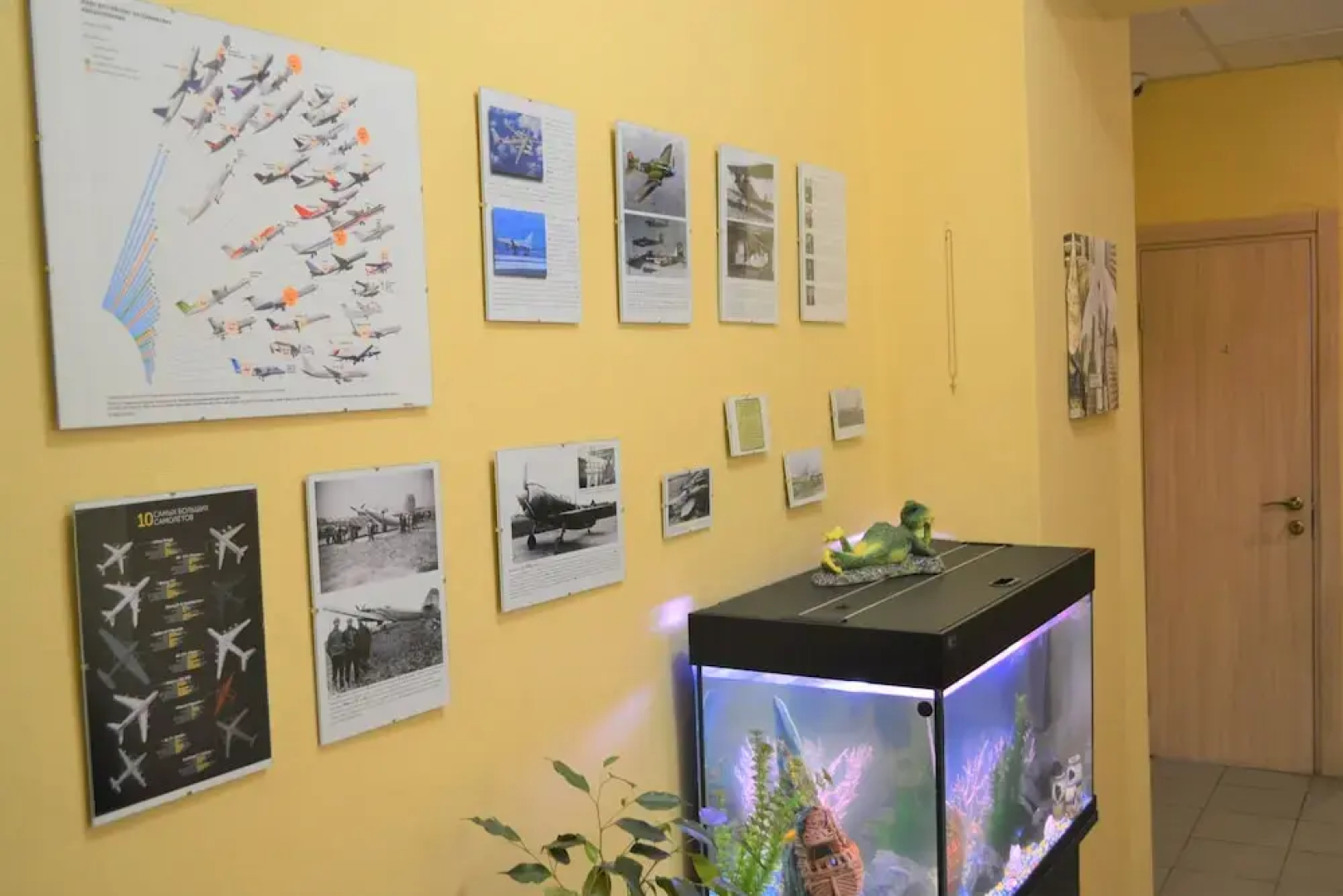 Хостел Авиатор