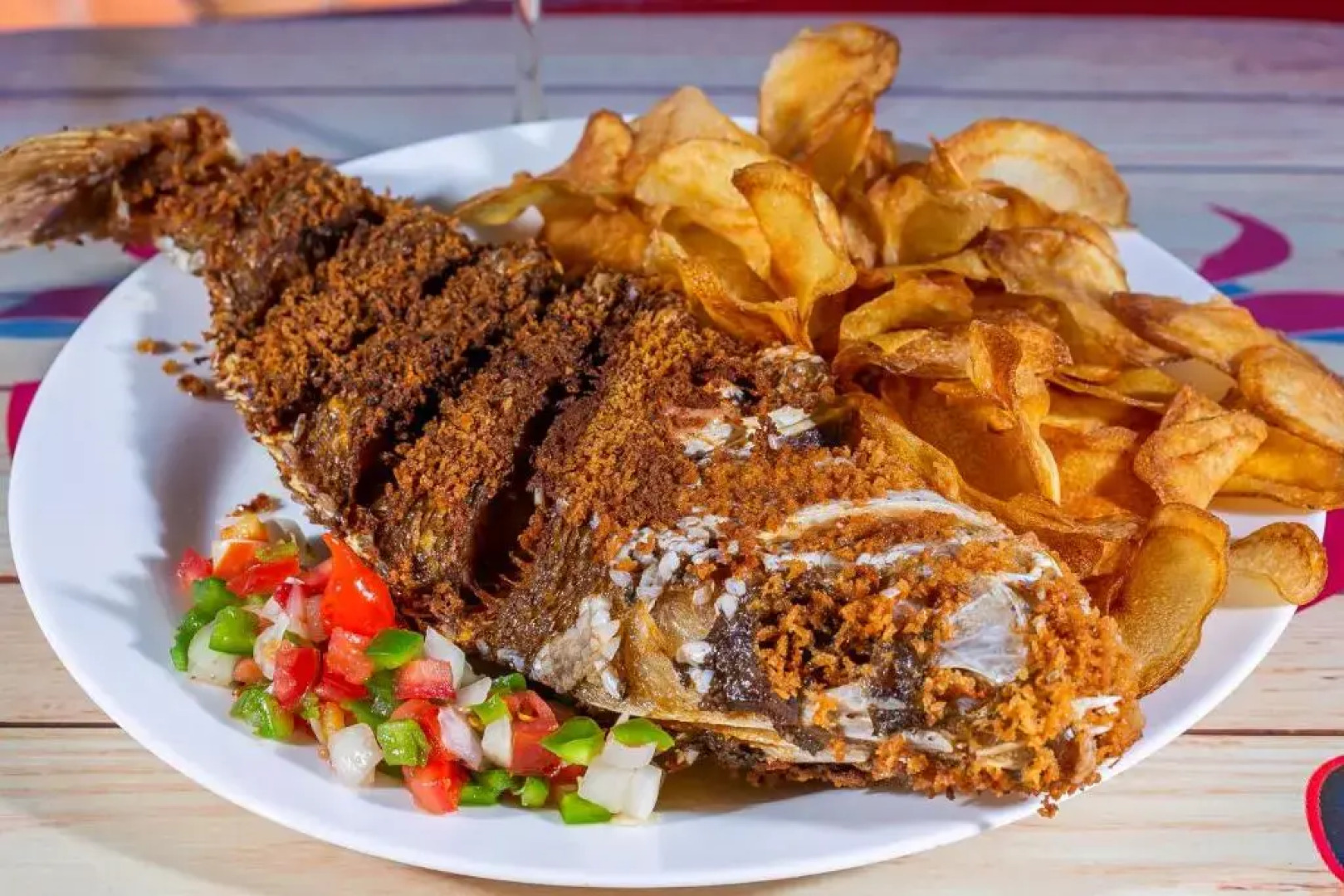 Nautilus Acomodações