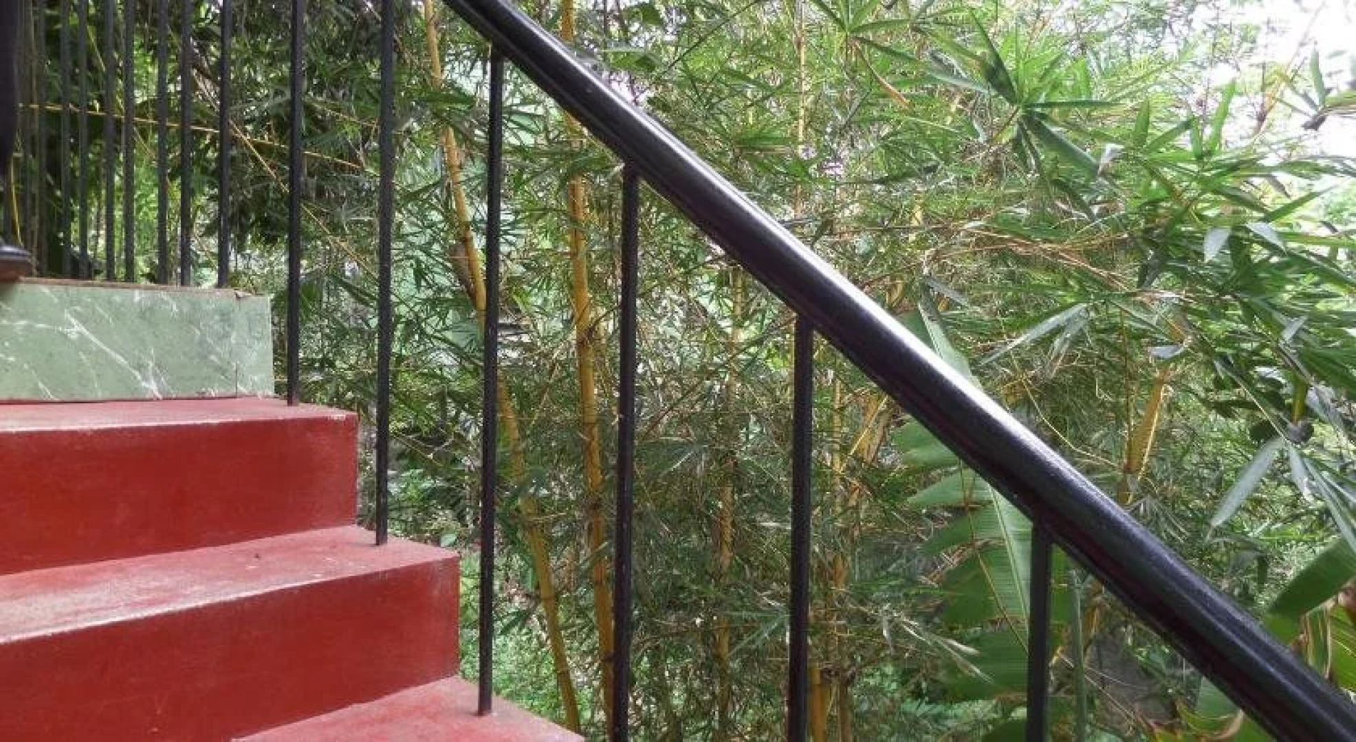 Rose Garden Homestay