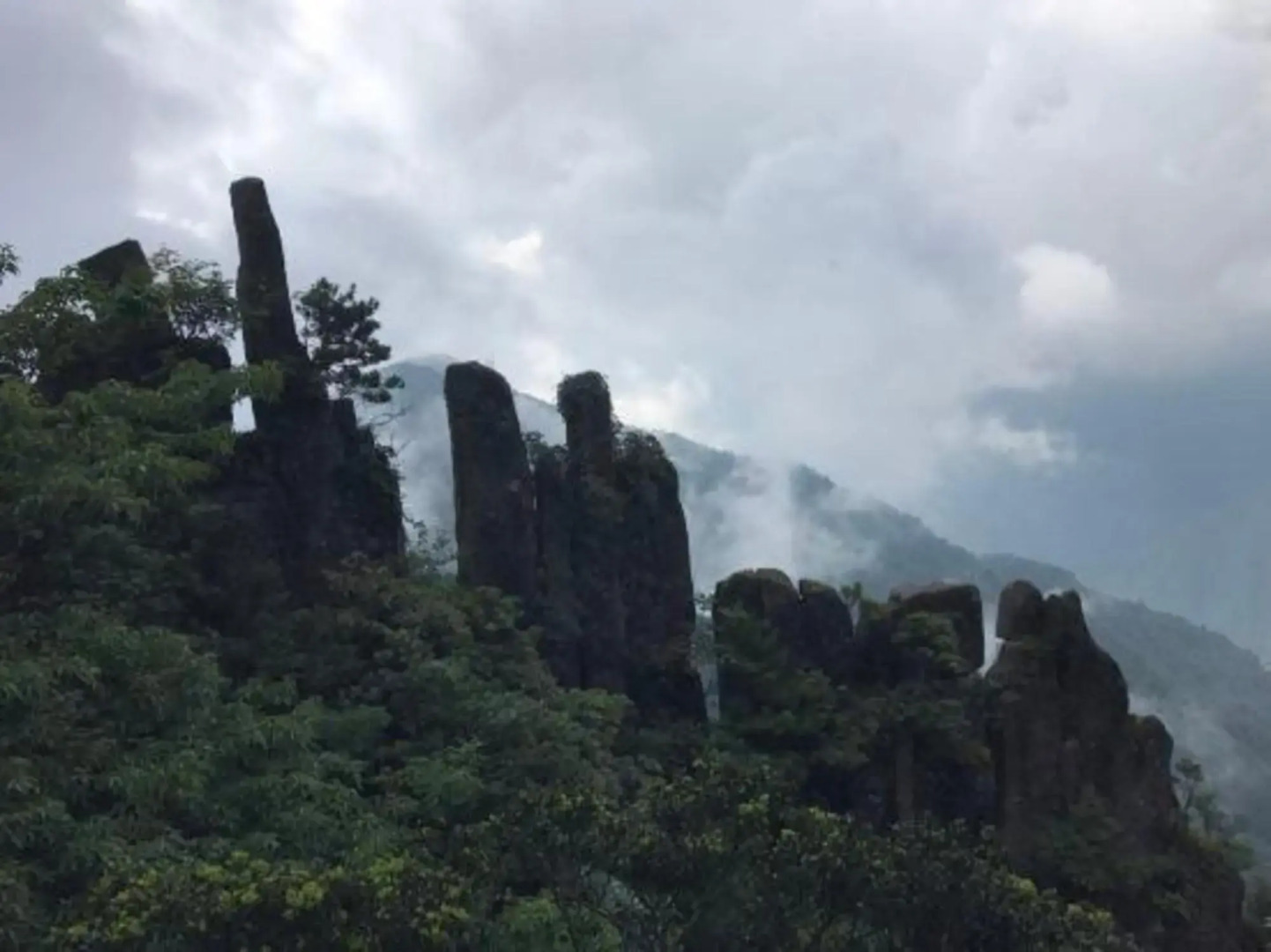Anfu Furui Grand Hotel (Anfu County Wetland Park Gymnasium)