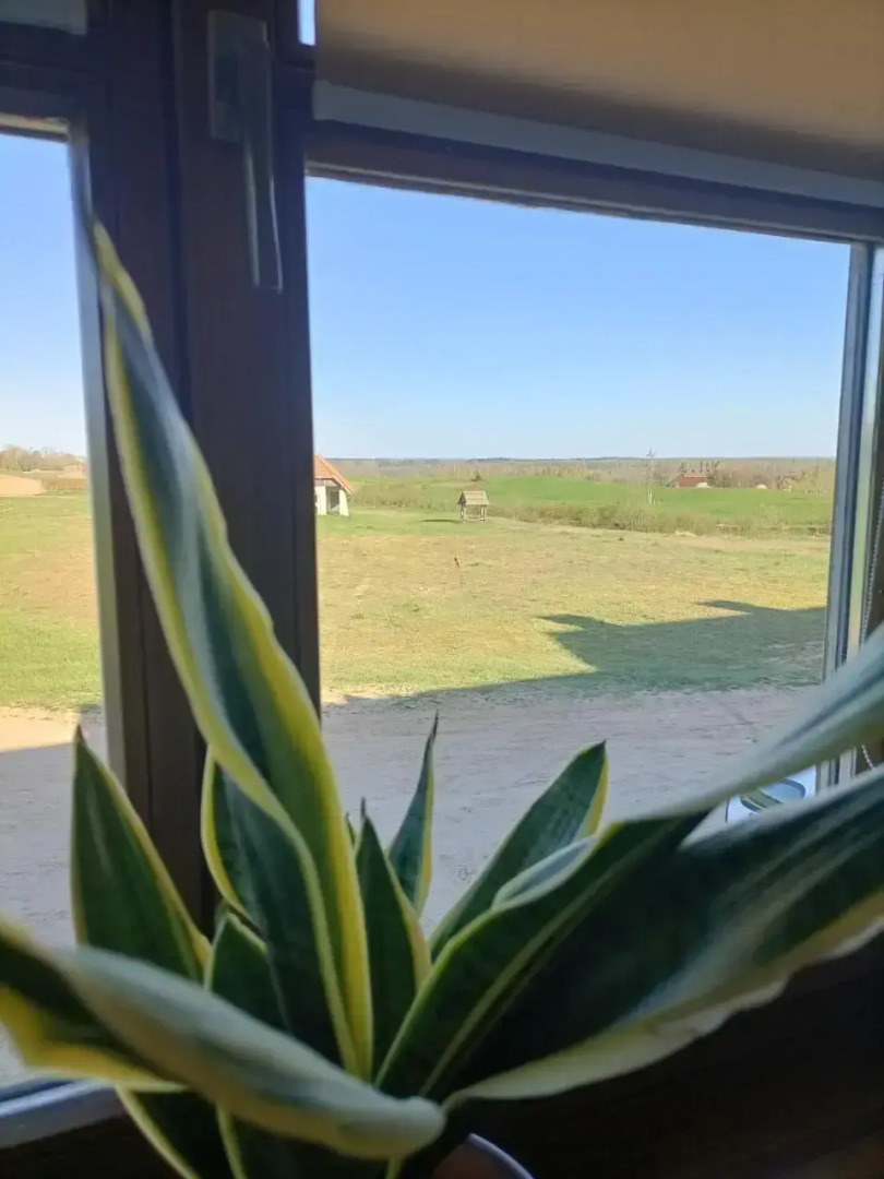 Stadnina Koni Nad Wigrami