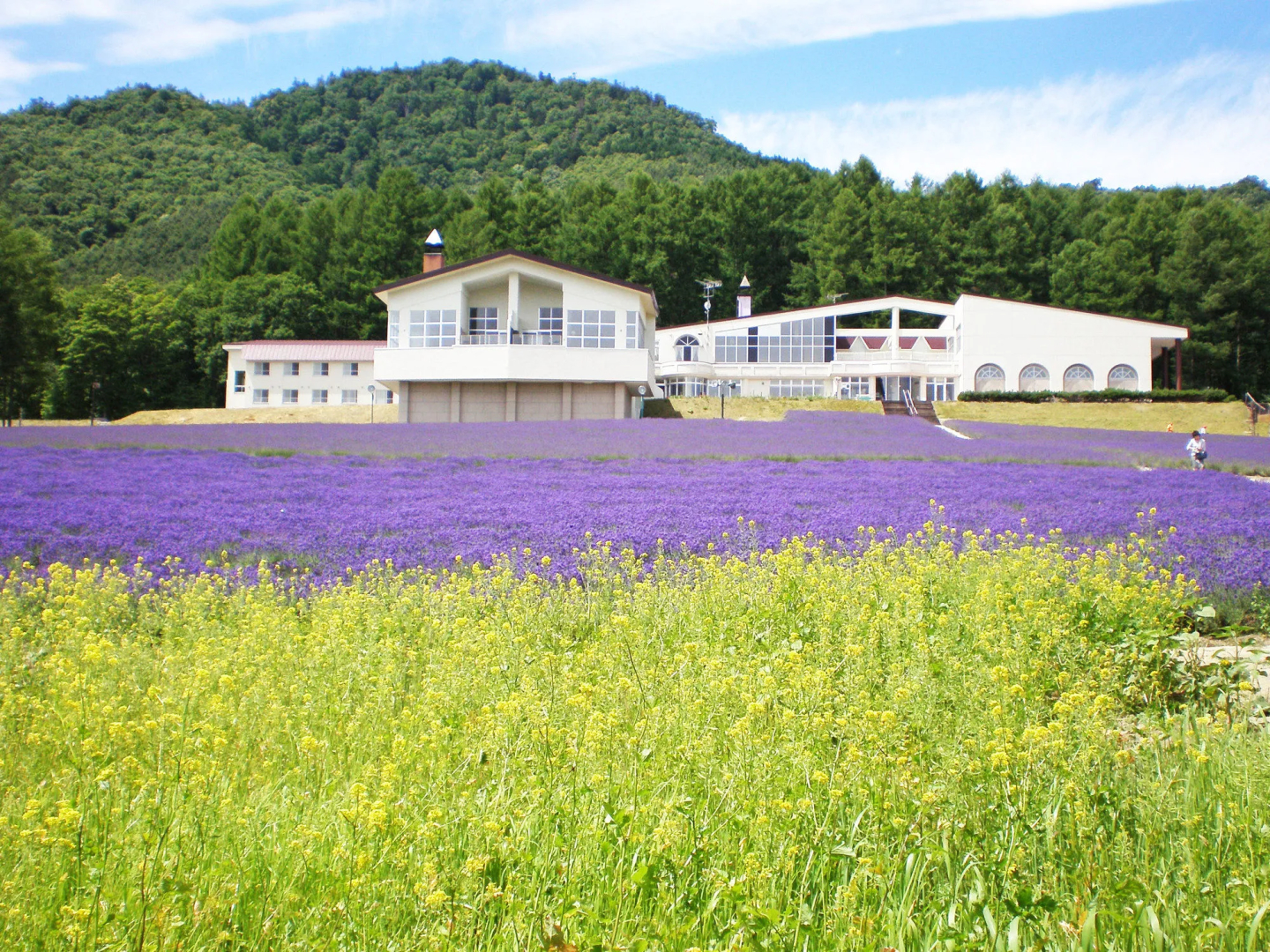 Highland Furano