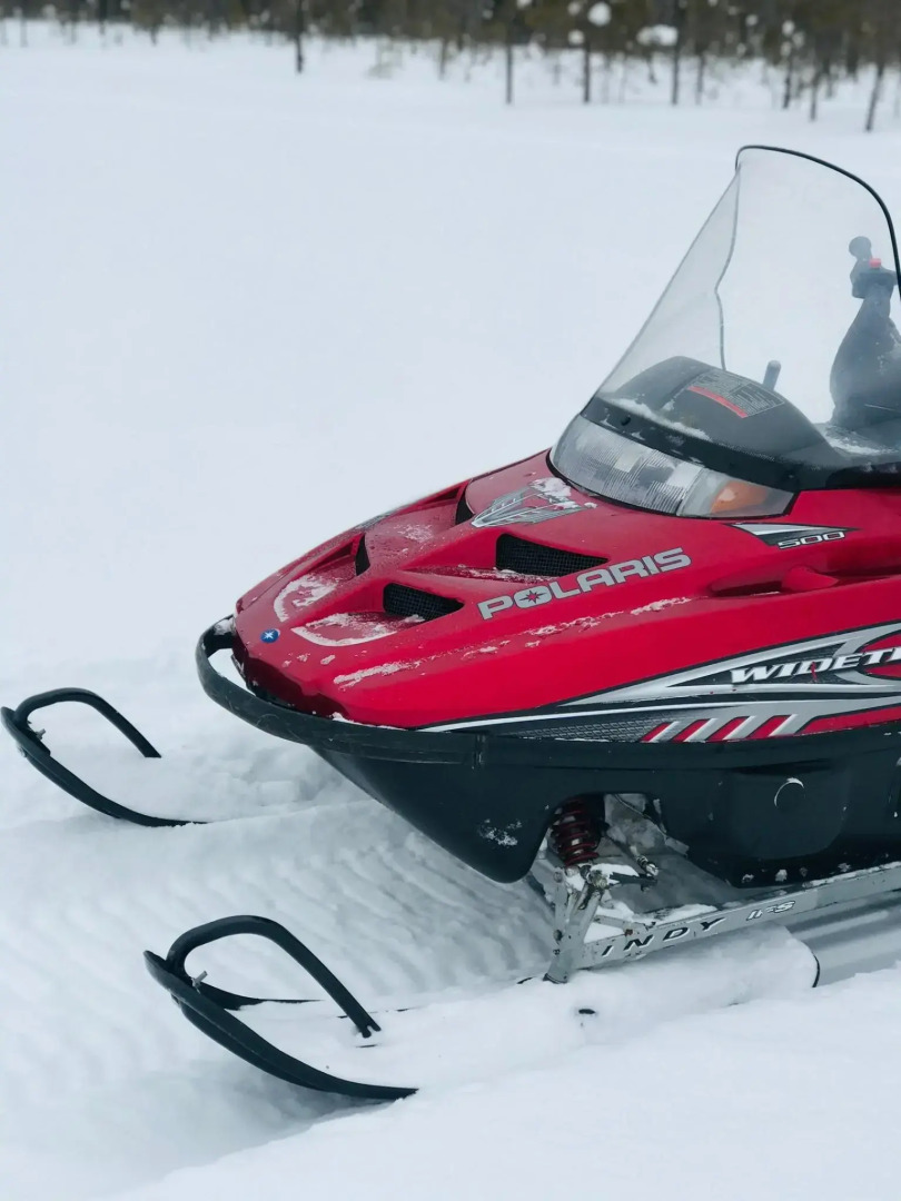 Медвежья лапа