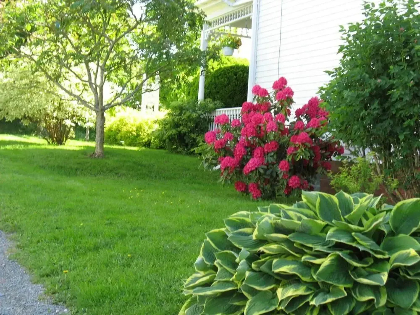 The Nelson House Bed & Breakfast