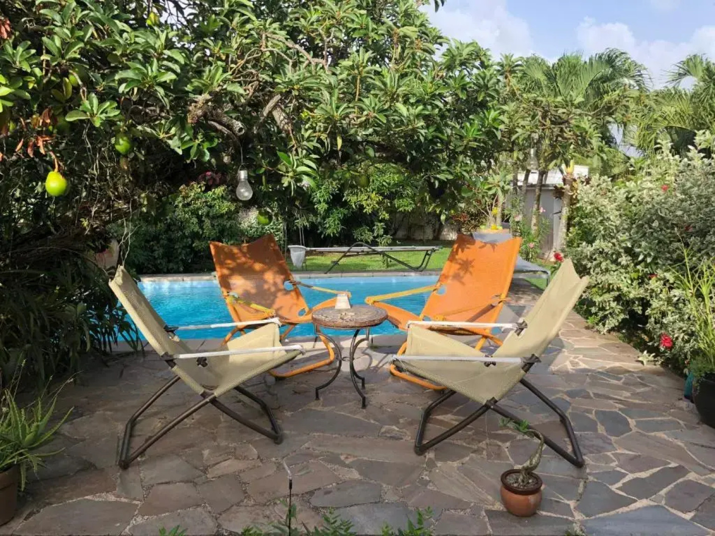 Studio des Perruches