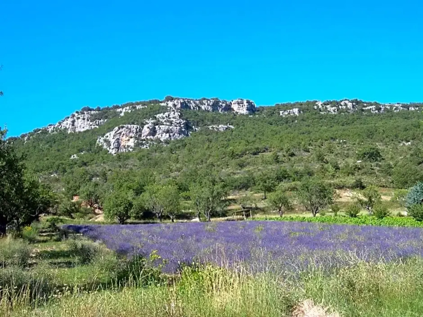 Chambre d'hôte Domaine de Bois joli