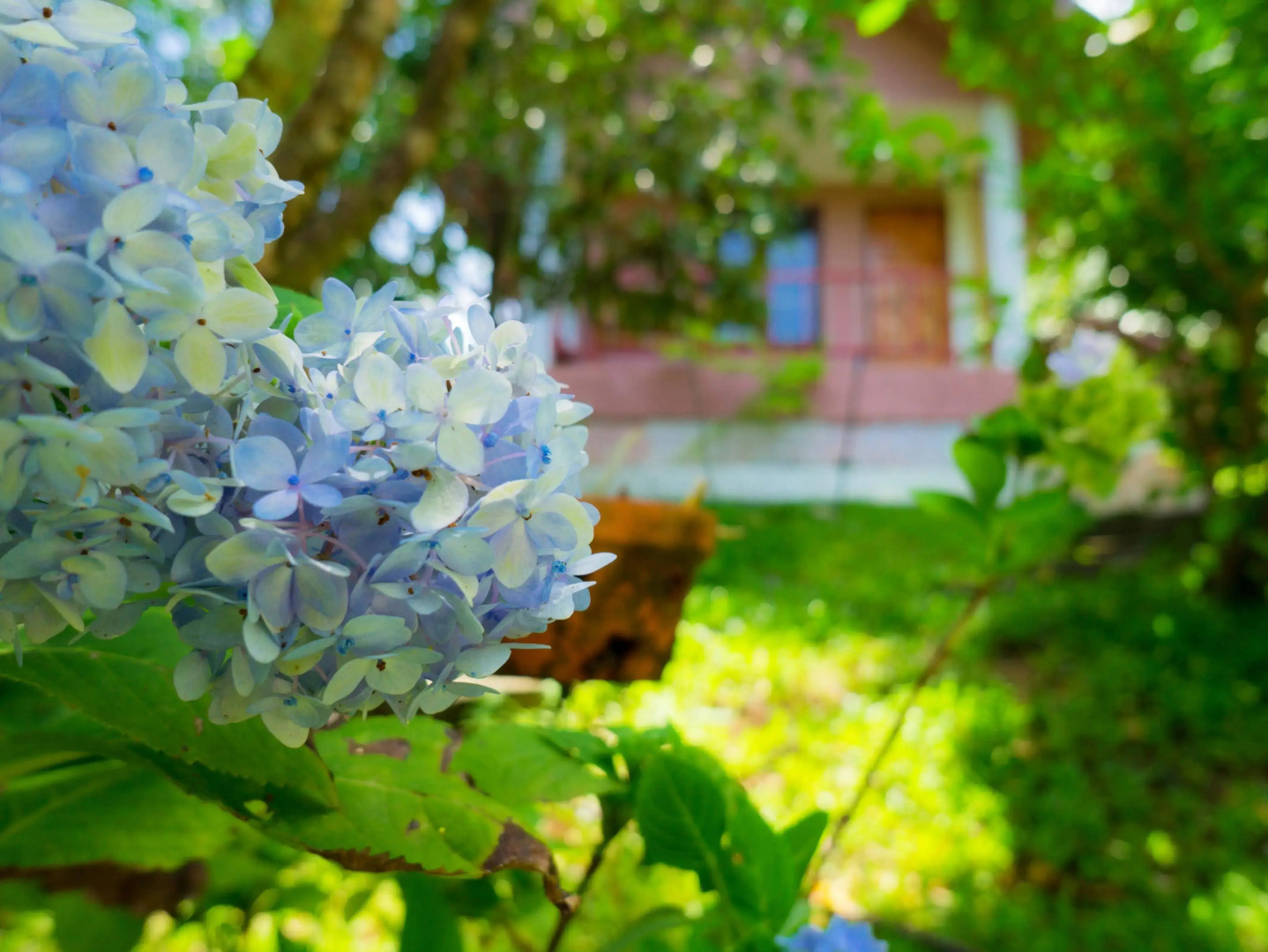 Les Robinsons De Ranong Resort