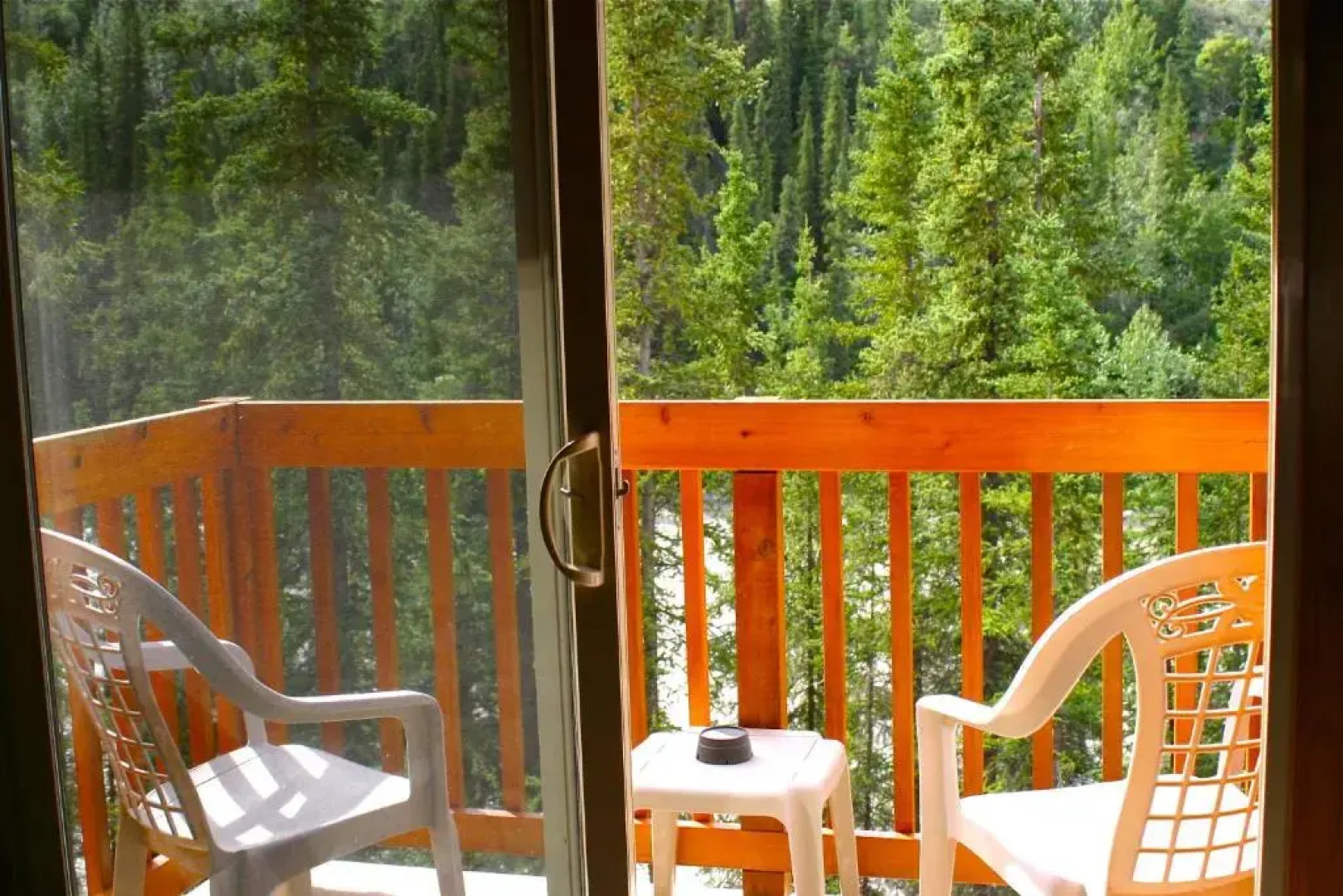 Denali Grizzly Bear Resort