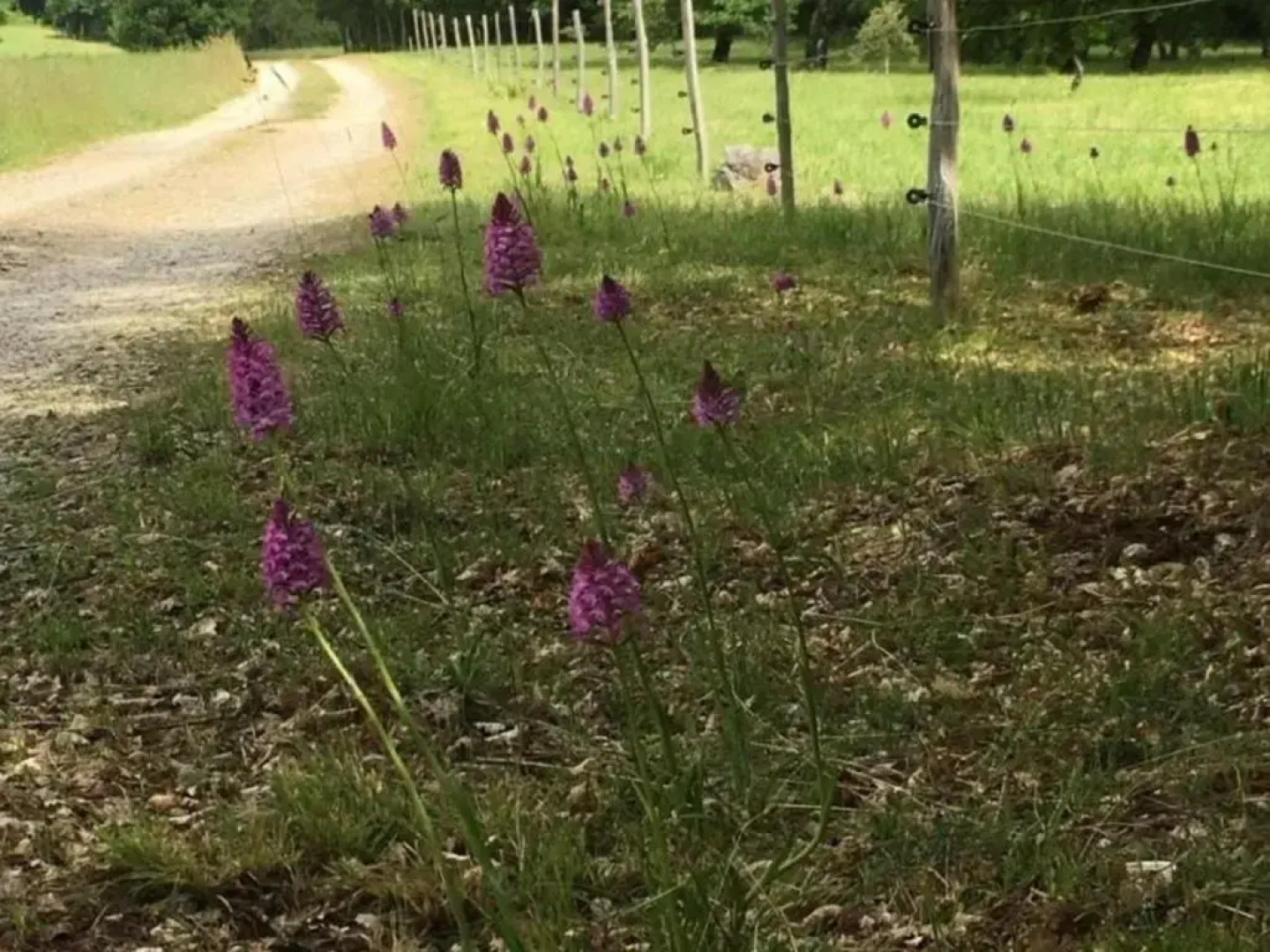 Gîte Azerat, 4 pièces, 6 personnes - FR-1-616-138