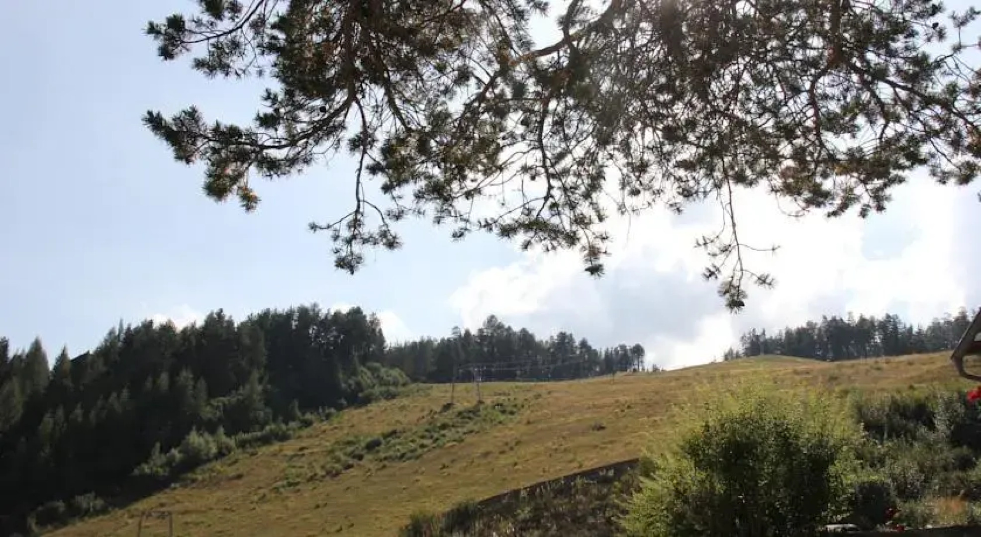 Wellnesspension Waldesruh