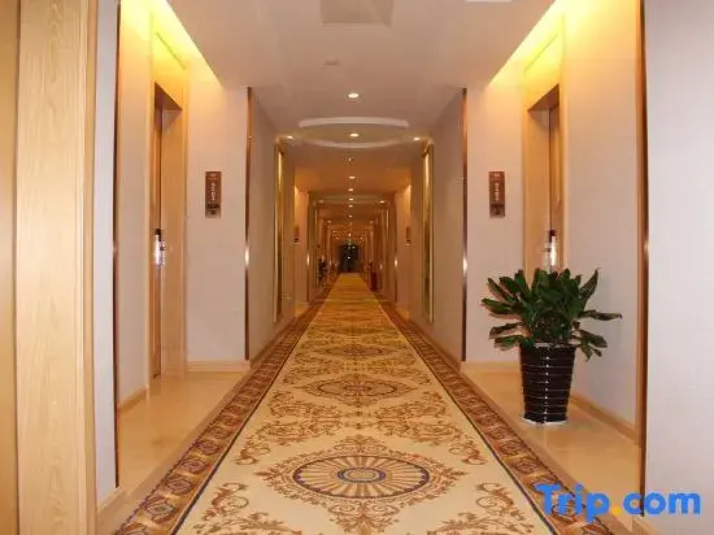 Vienna Hotel (Yudu Railway Station)