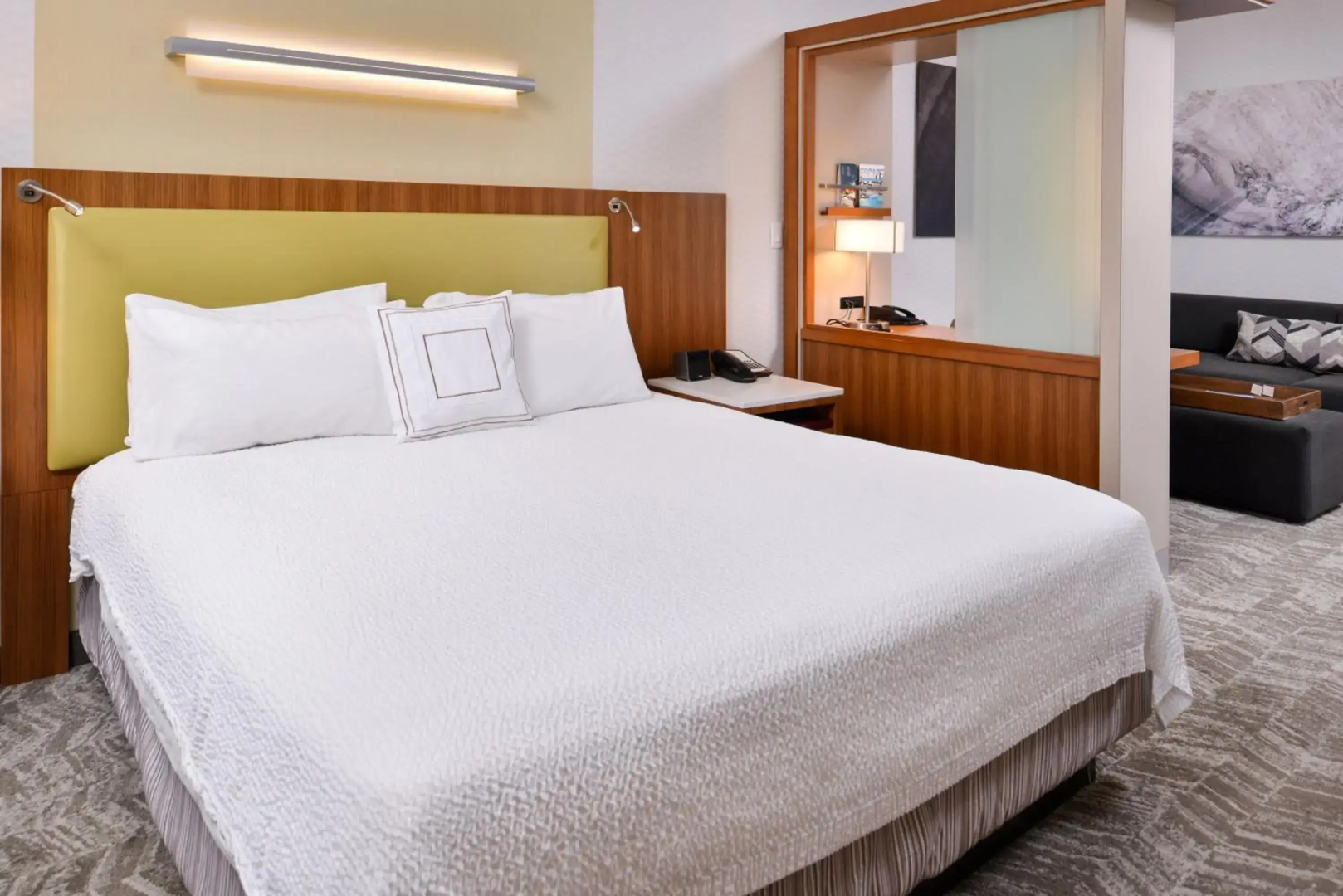 SpringHill Suites Irvine John Wayne Airport/Orange County