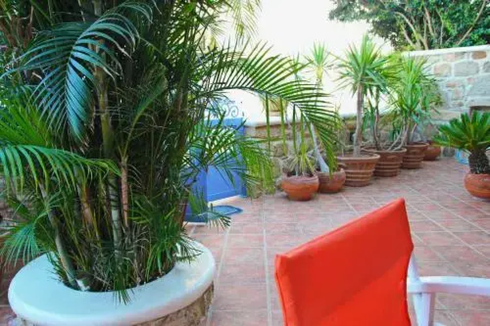 Coralli Rooms