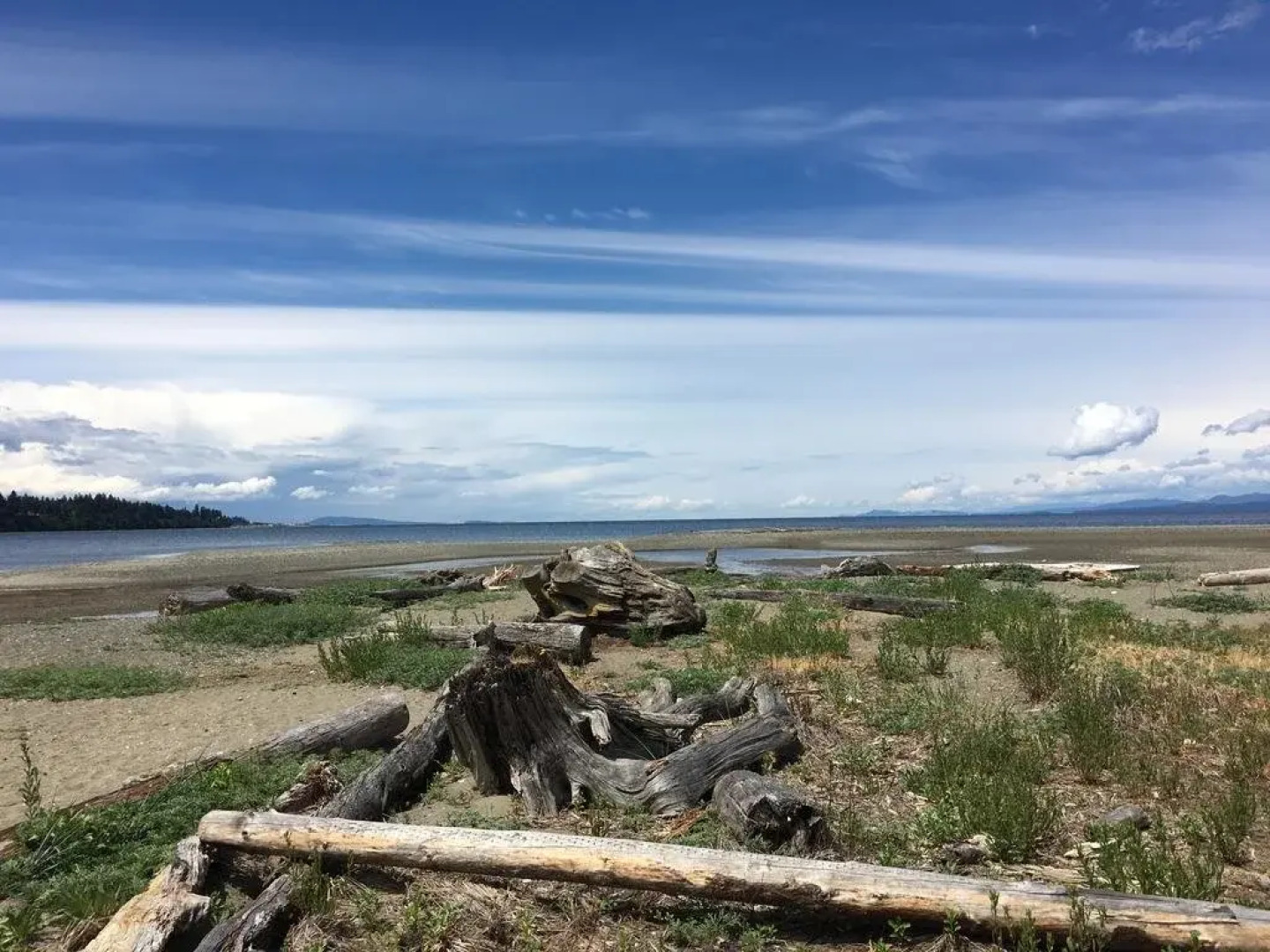 Madrona Beach Resort