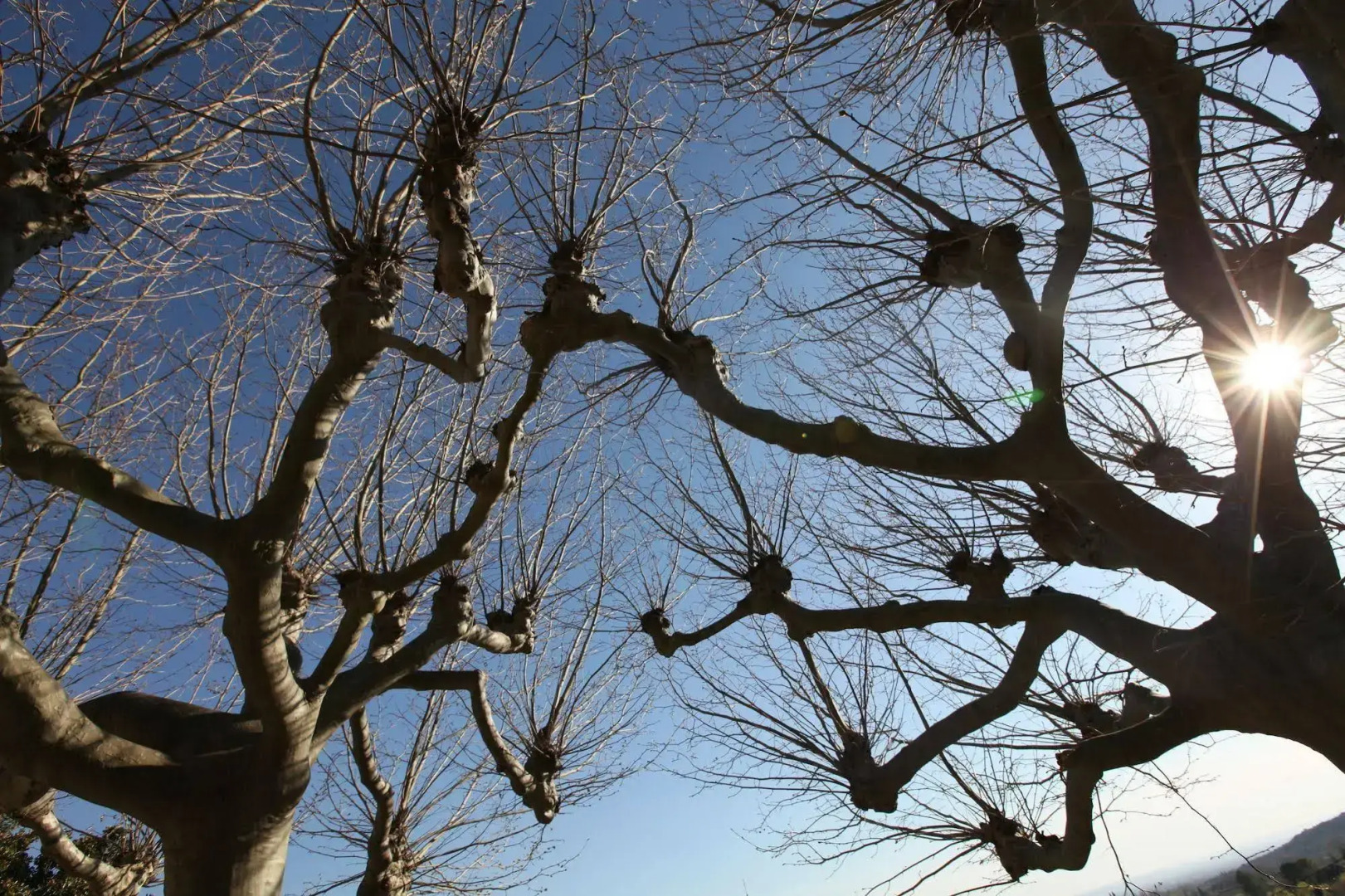 Les Terrasses du Soleil