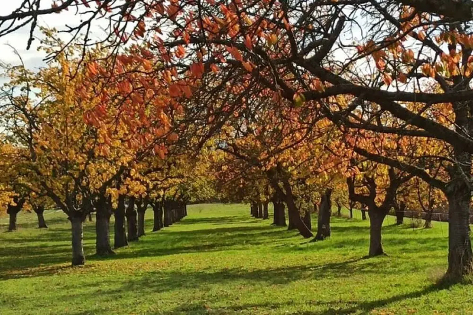 Lovely Apartment in Hesse
