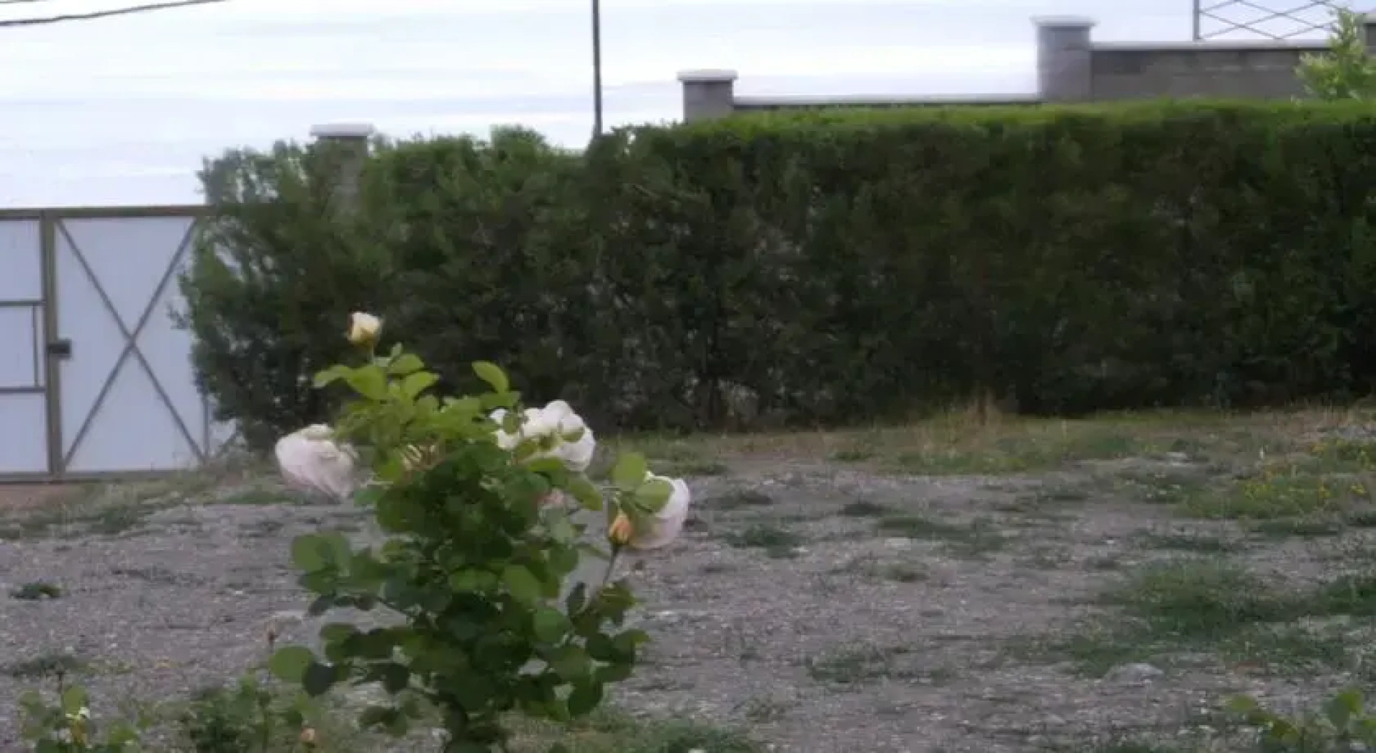 Парковый Форос