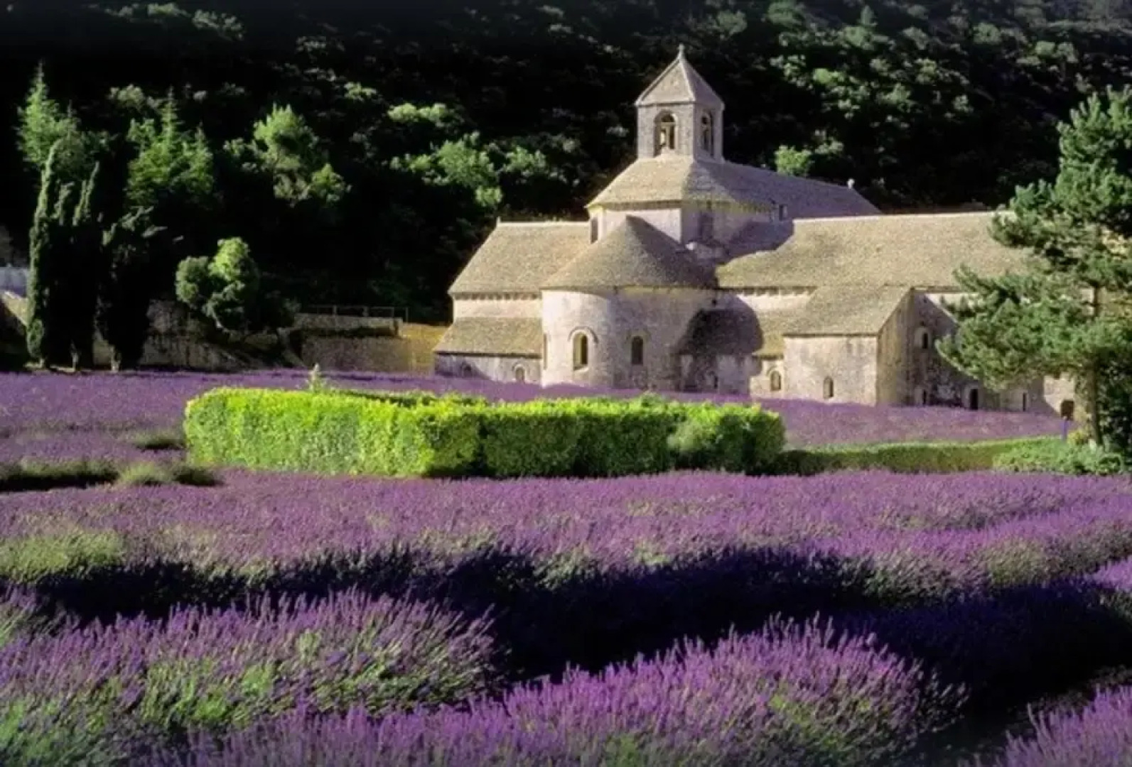 House With one Bedroom in Velleron, With Pool Access, Enclosed Garden and Wifi