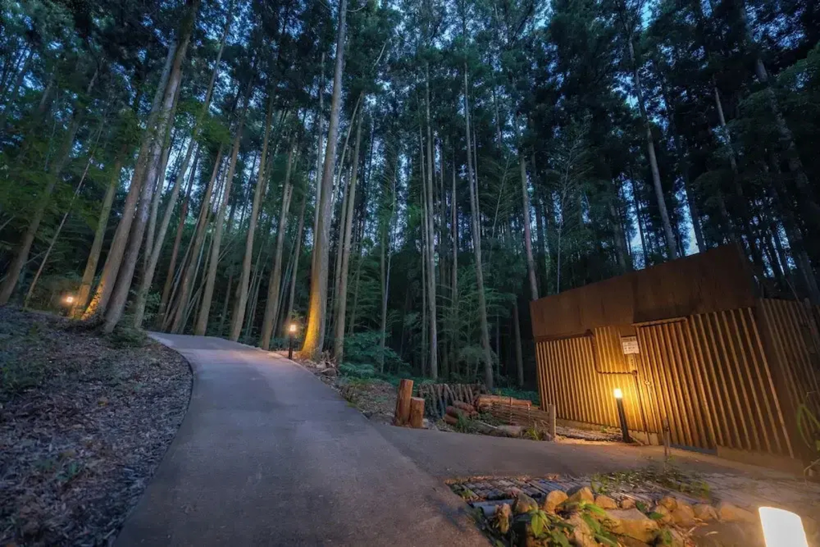 Tsuwabuki-no-Hana