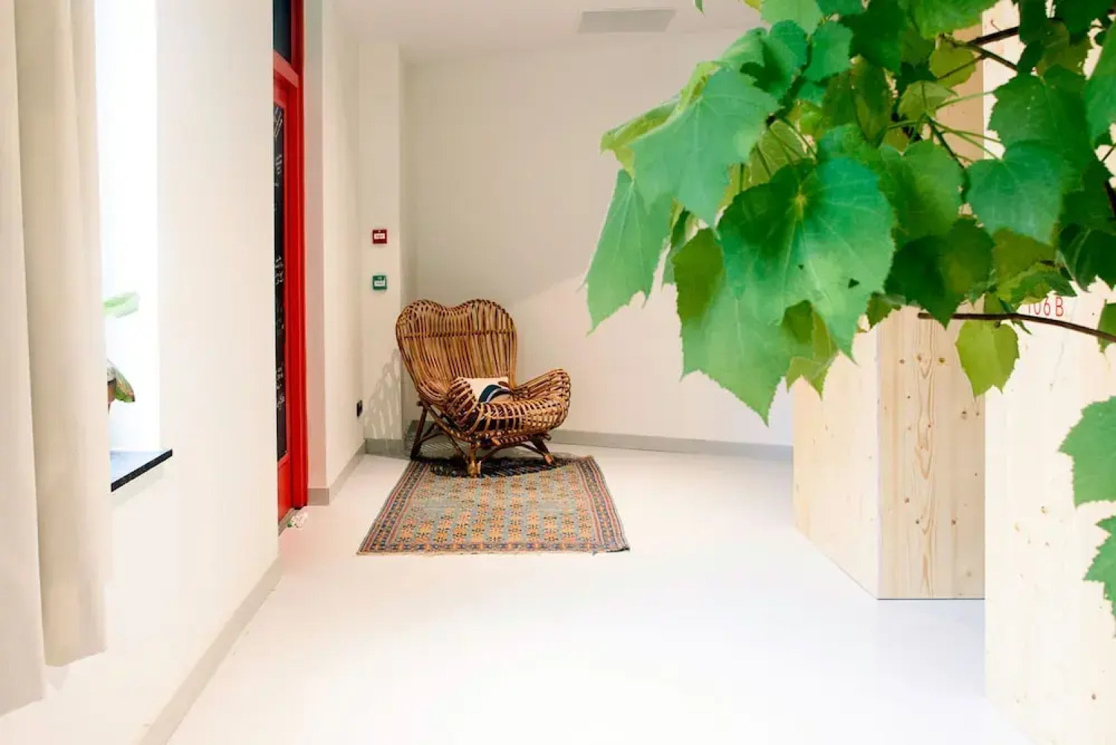 The Green Elephant Hostel & Spa