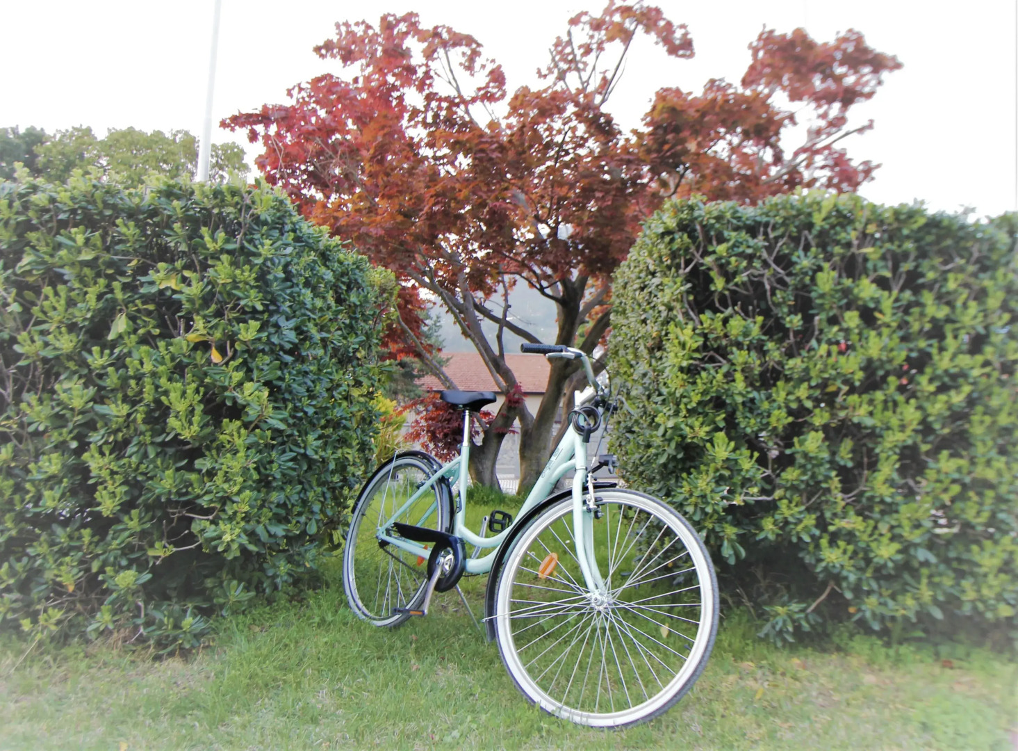 Hotel Camping Europa