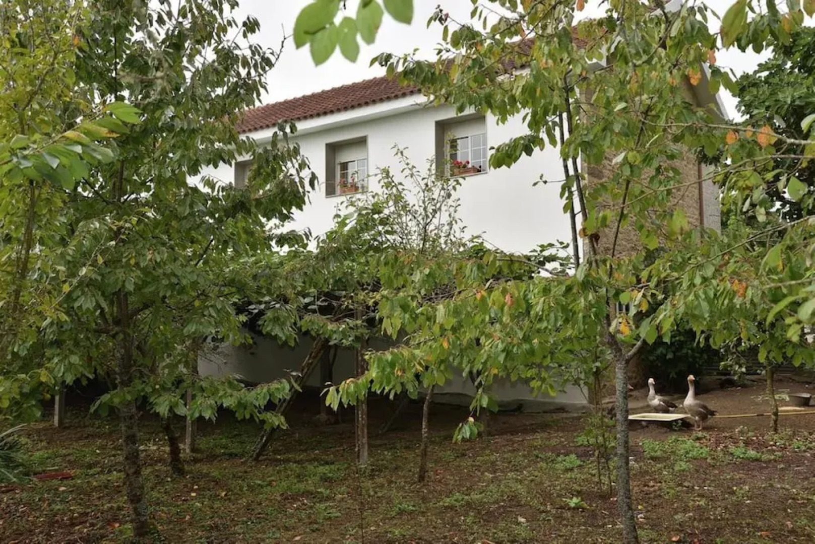 107454 House In A Estrada