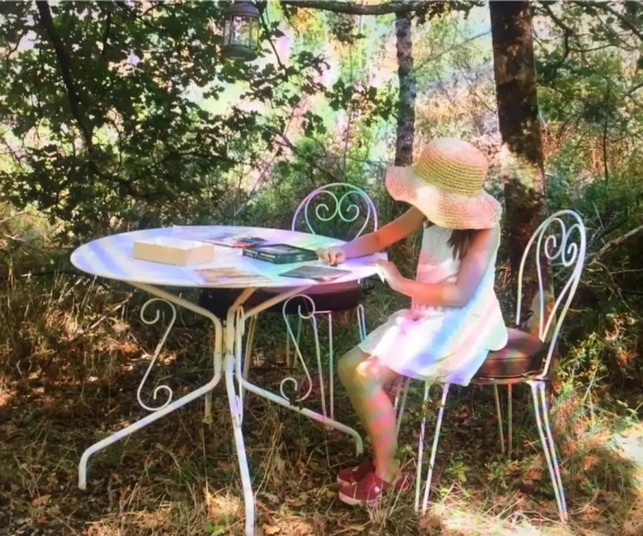 Wild Boar Mountain - France