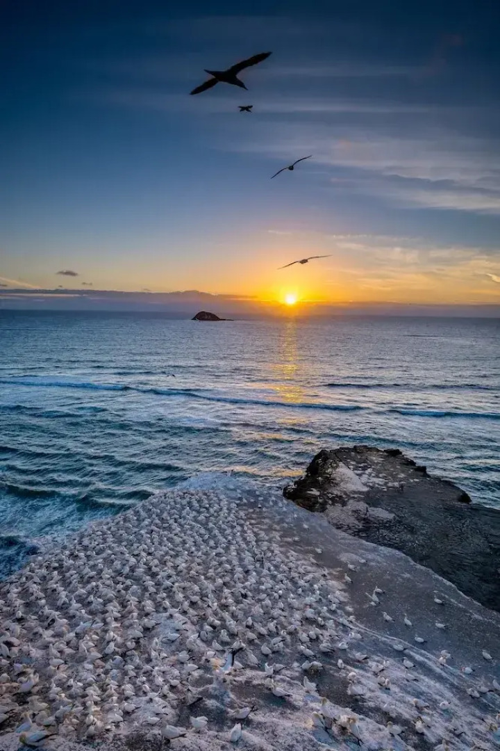 Sunset Capital Of The World